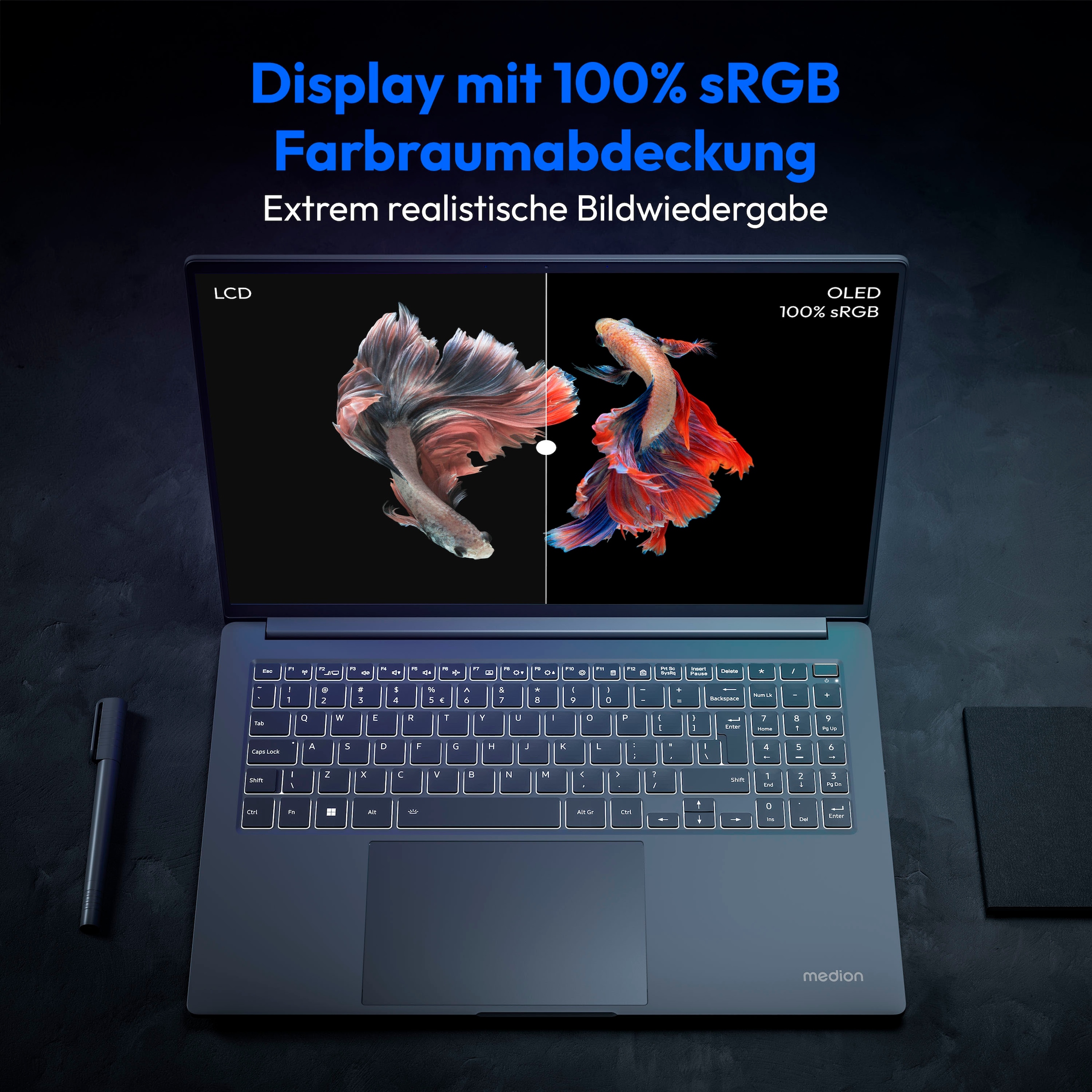Medion® Notebook »S10 OLED«, 40,6 cm, / 16 Zoll, Intel, Core Ultra 7, ARC, 1000 GB SSD