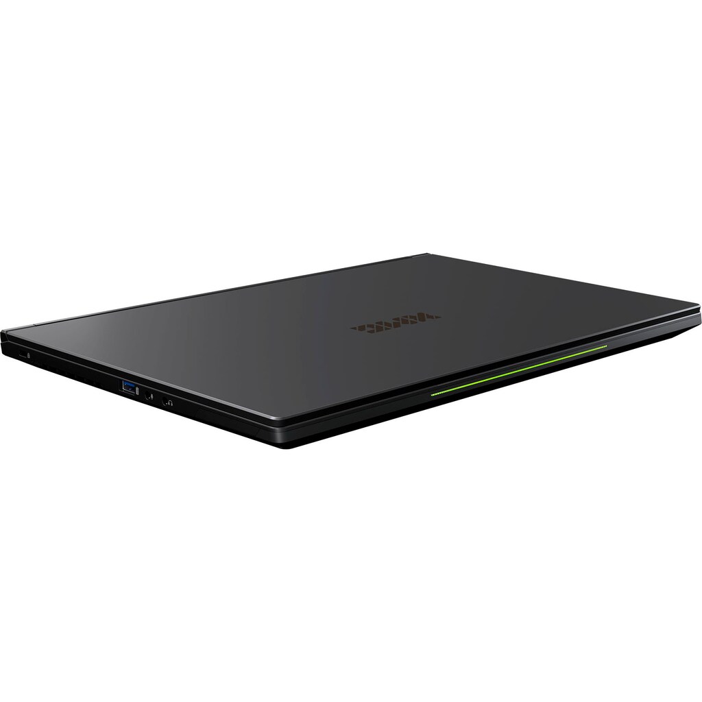 XMG Notebook »FUSION 15-L19«, 39,62 cm, / 15,6 Zoll, Intel, Core i7, GeForce GTX 1660 Ti, 500 GB SSD
