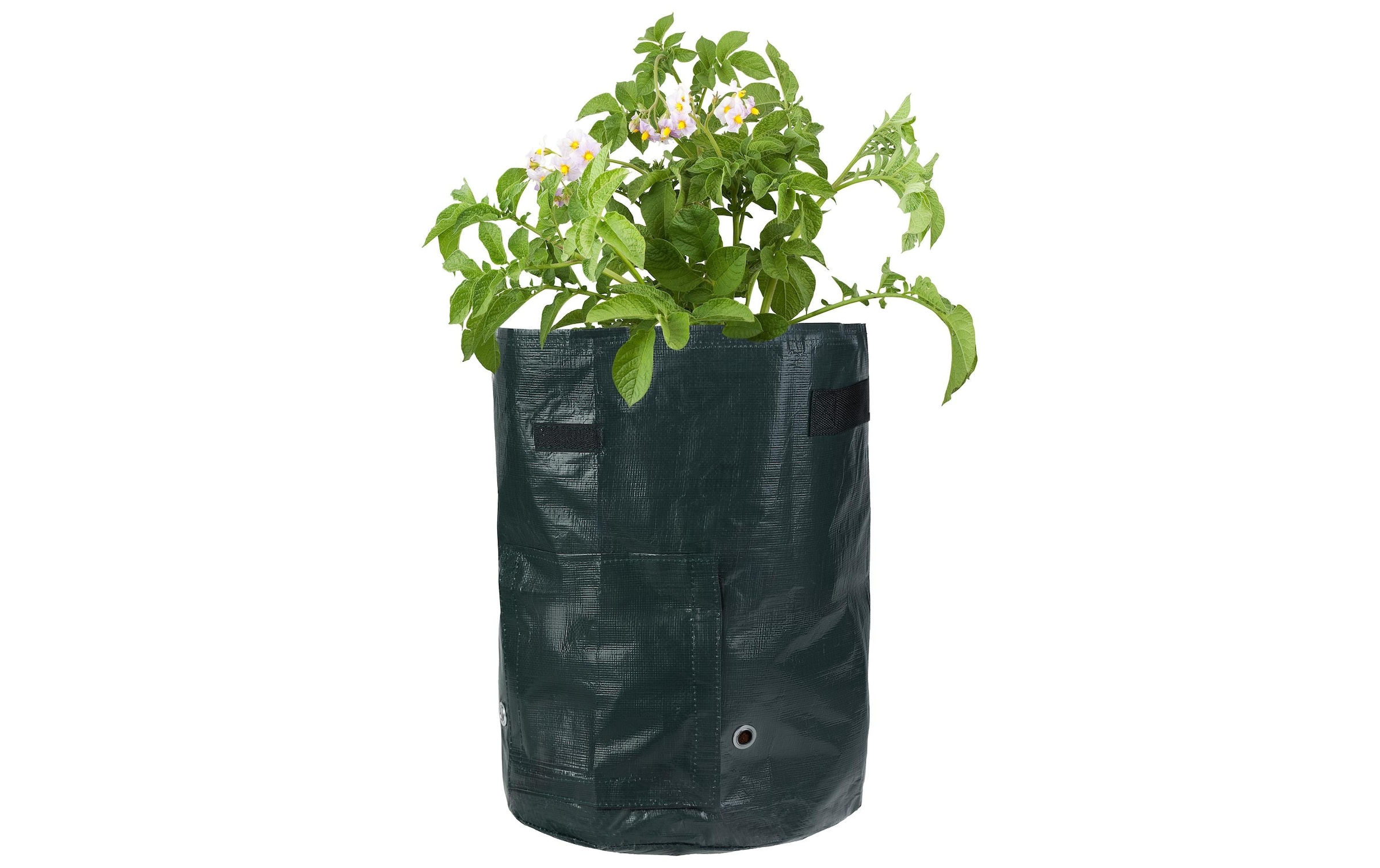 STRUCT Pflanzschale »4er Set, PE,« Robuster Sack für Pflanzen