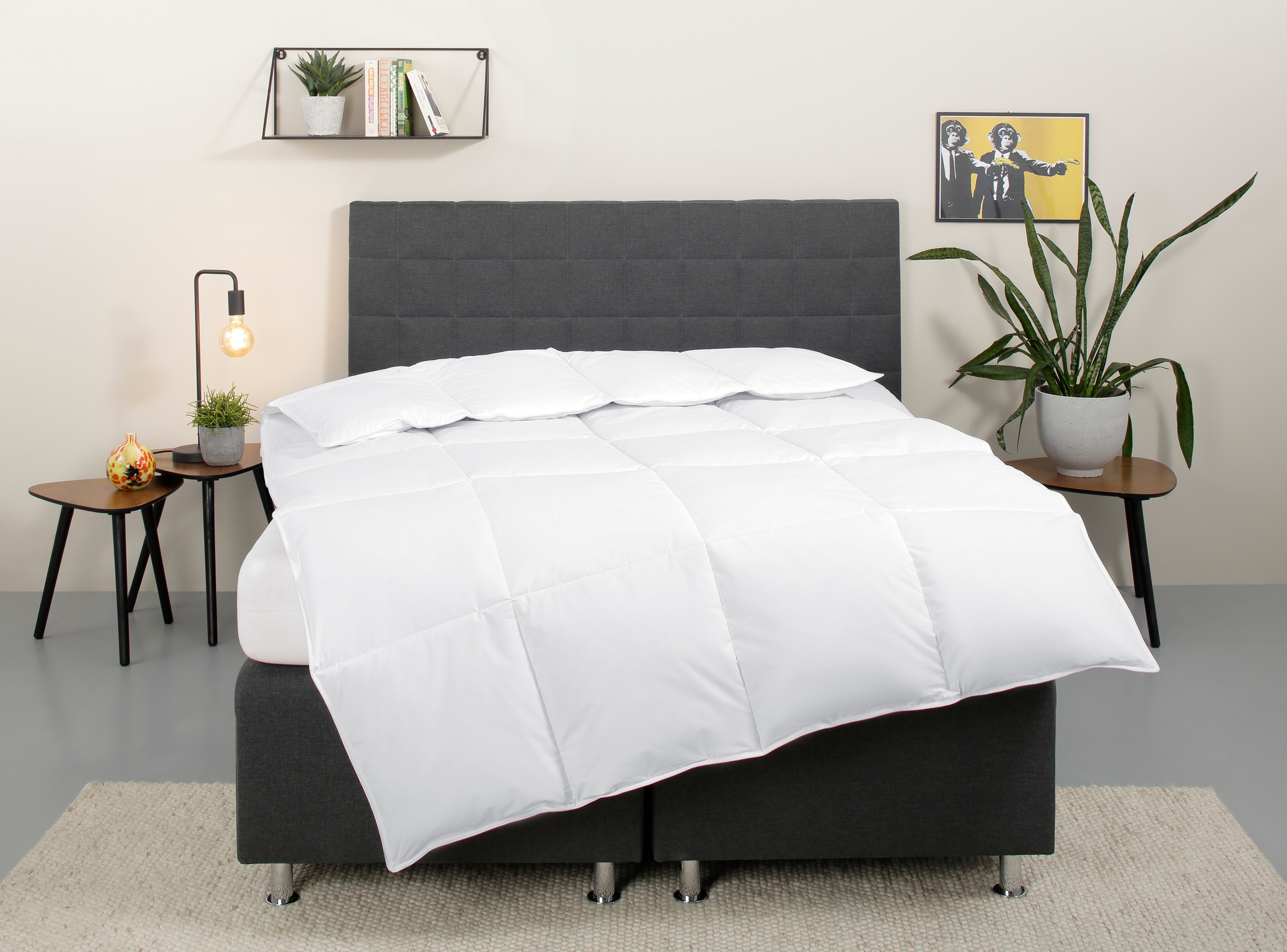 OTTO home "Cyra, Bettdecke 135x200 cm, 155x220 cm" extrawarm Füllung 70% Daunen und 30% Federn Bezug Baumwolle 1 Stk. tlg. wo besonders auf artgerechte Haltung der Tiere geachtet wird