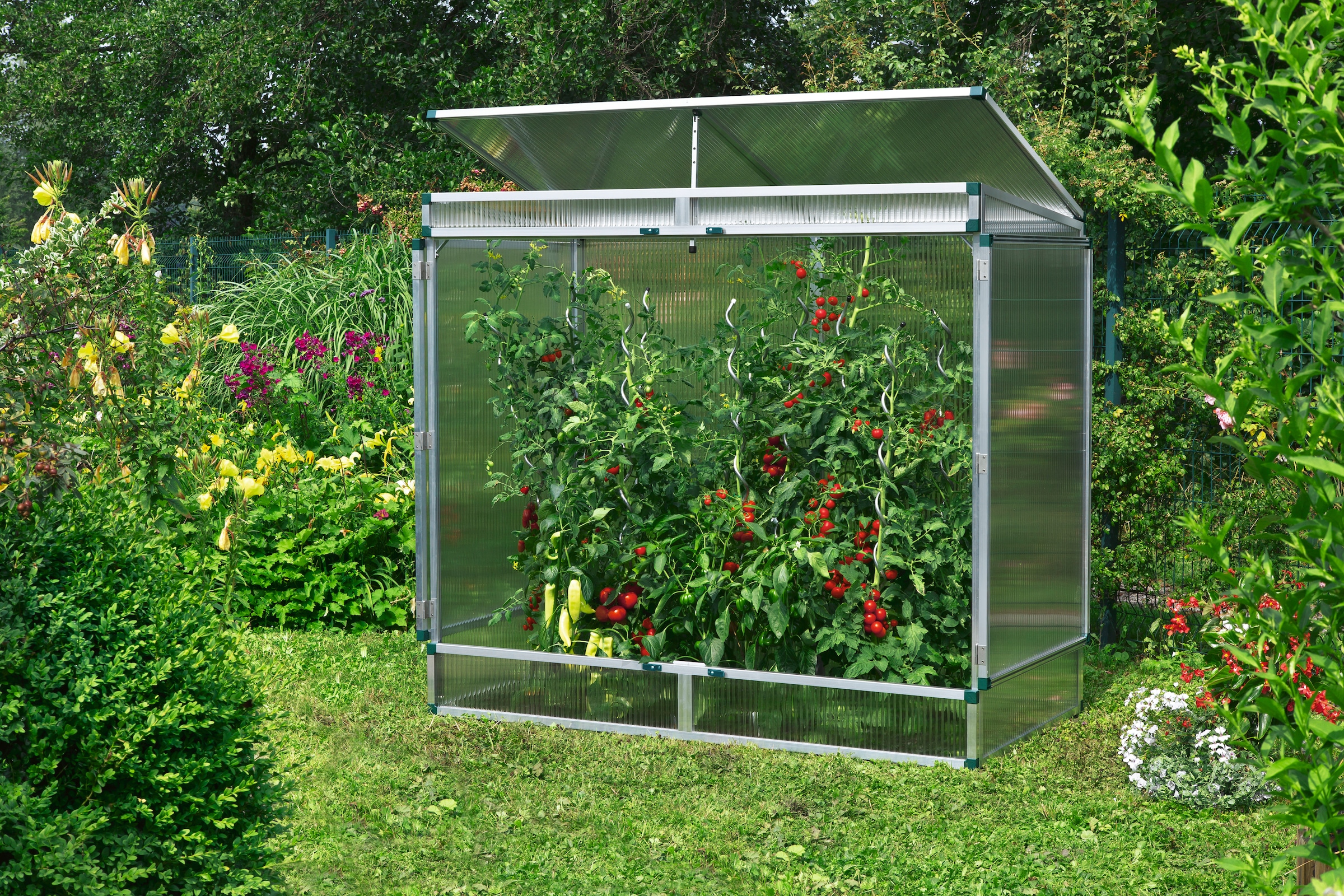 Парник Greenhouse т-21