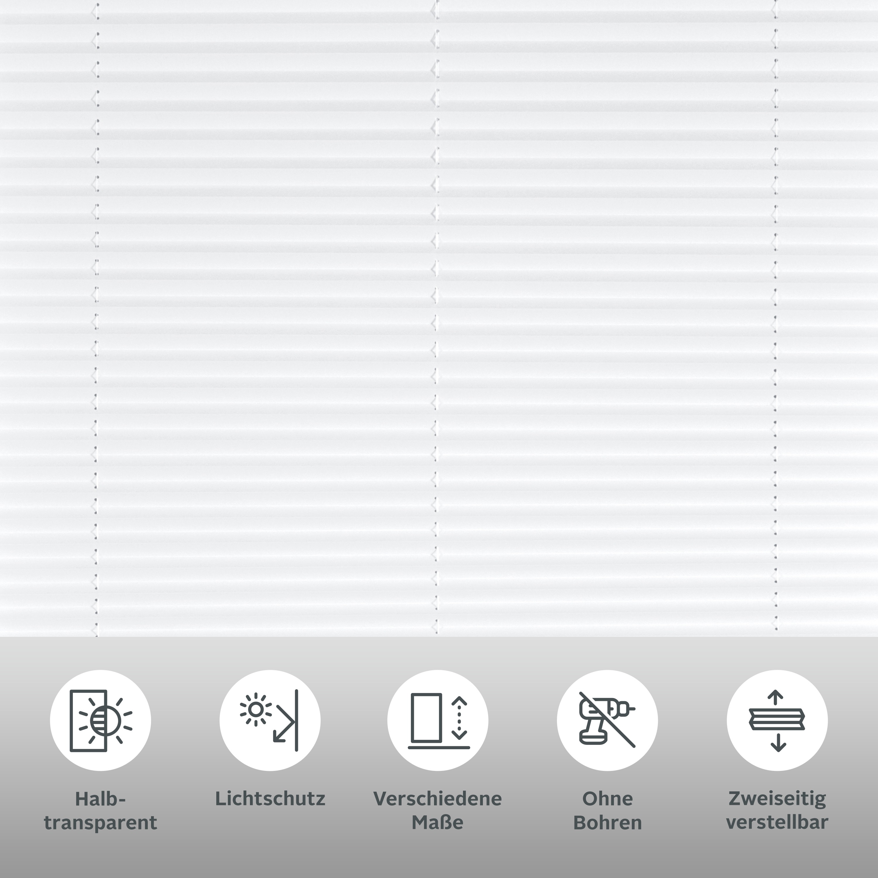 Thumbnail - Bruno Banani Plissee "Lagos" Lichtschutz ohne Bohren verspannt Fixmaß, Bestseller mit über 500 4,5-Sterne-Bewertungen, K...