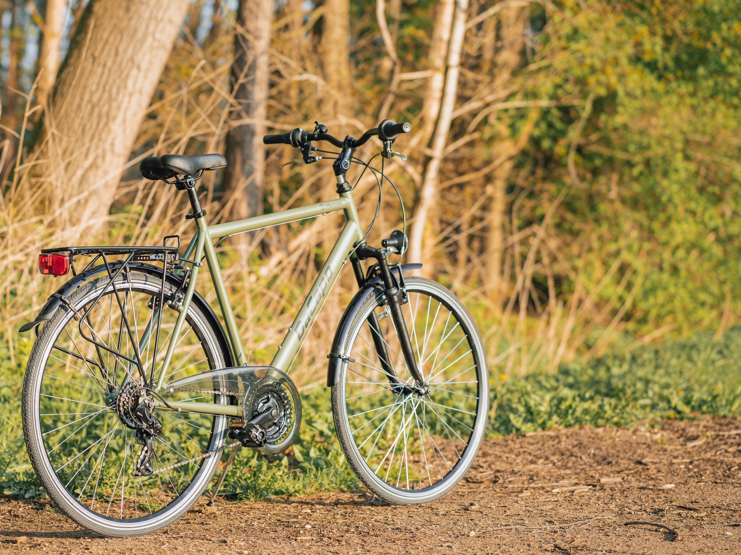 Dacapo Trekkingrad »Trekkingrad Herren 28'' Montreal Olivgrün 21 Gänge RH 58 cm«, 21 Gang, Kettenschaltung