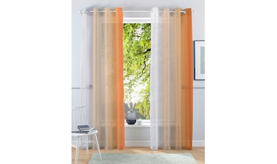 Weckbrodt Vorhang »Vera«, (1 St.), Schlaufenschal, Gardine, transparent,  Organza bestellen | BAUR