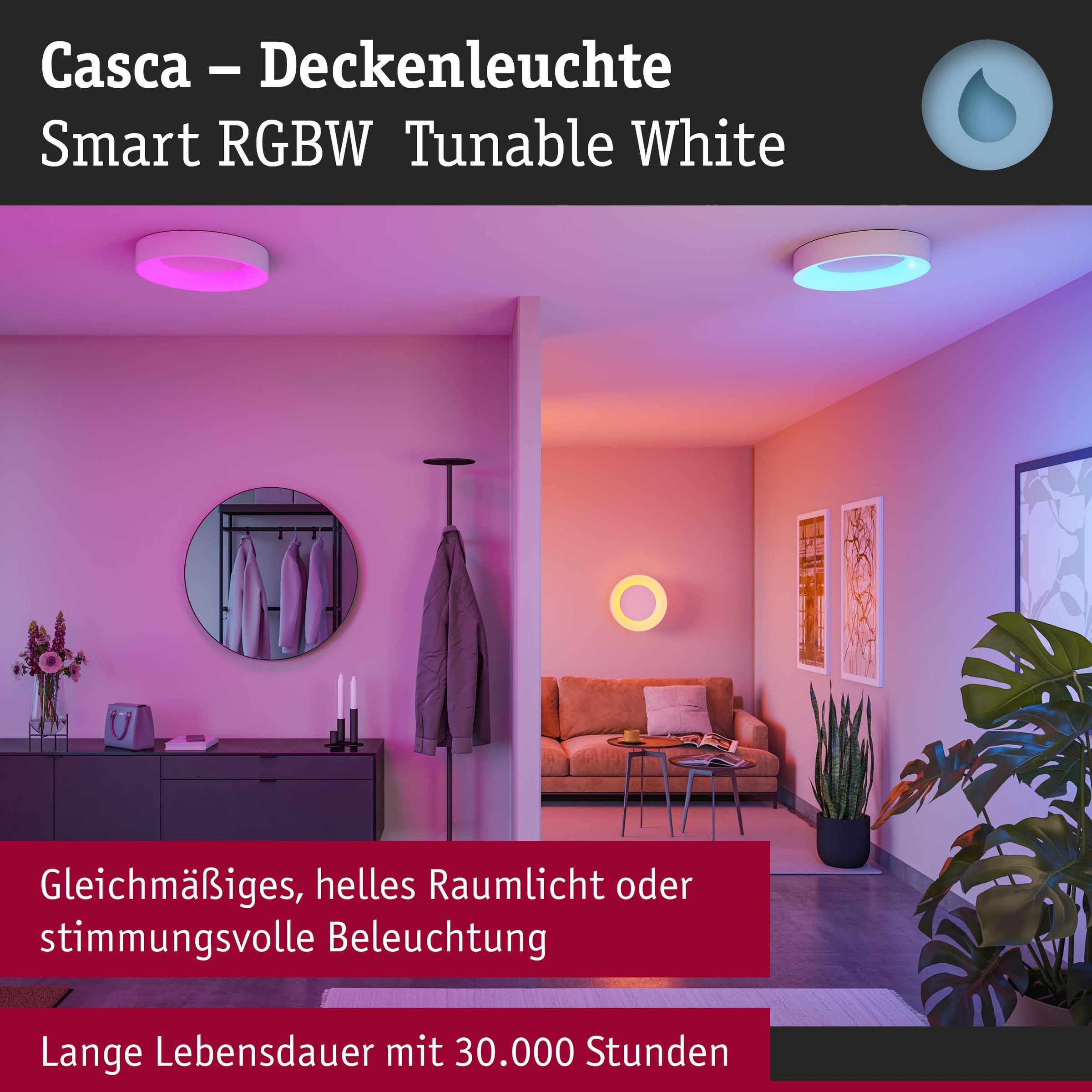 Paulmann Deckenleuchte »Casca« LED-Modul 1 Stk. Tageslichtweiß dimmbar