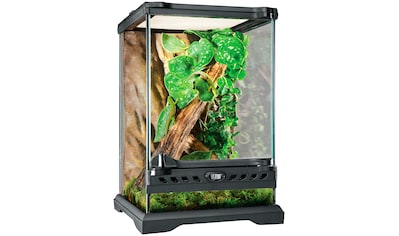 Terrarium »Nano«