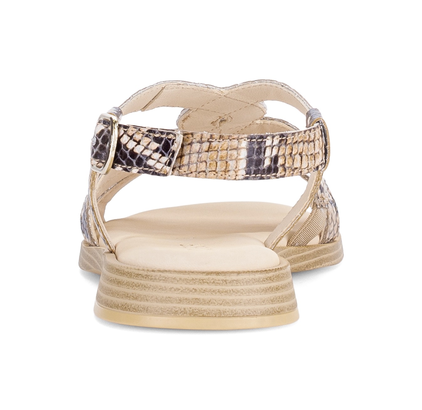 Gabor Riemchensandale Blockabsatz, Sandalette, Sommerschuh mit verstellbare günstig online kaufen