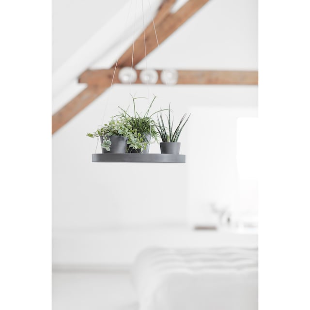 ECOPOTS Blumentopfuntersetzer »HANGING SAUCER Grey«, BxTxH: 36x36x3 cm  günstig | BAUR