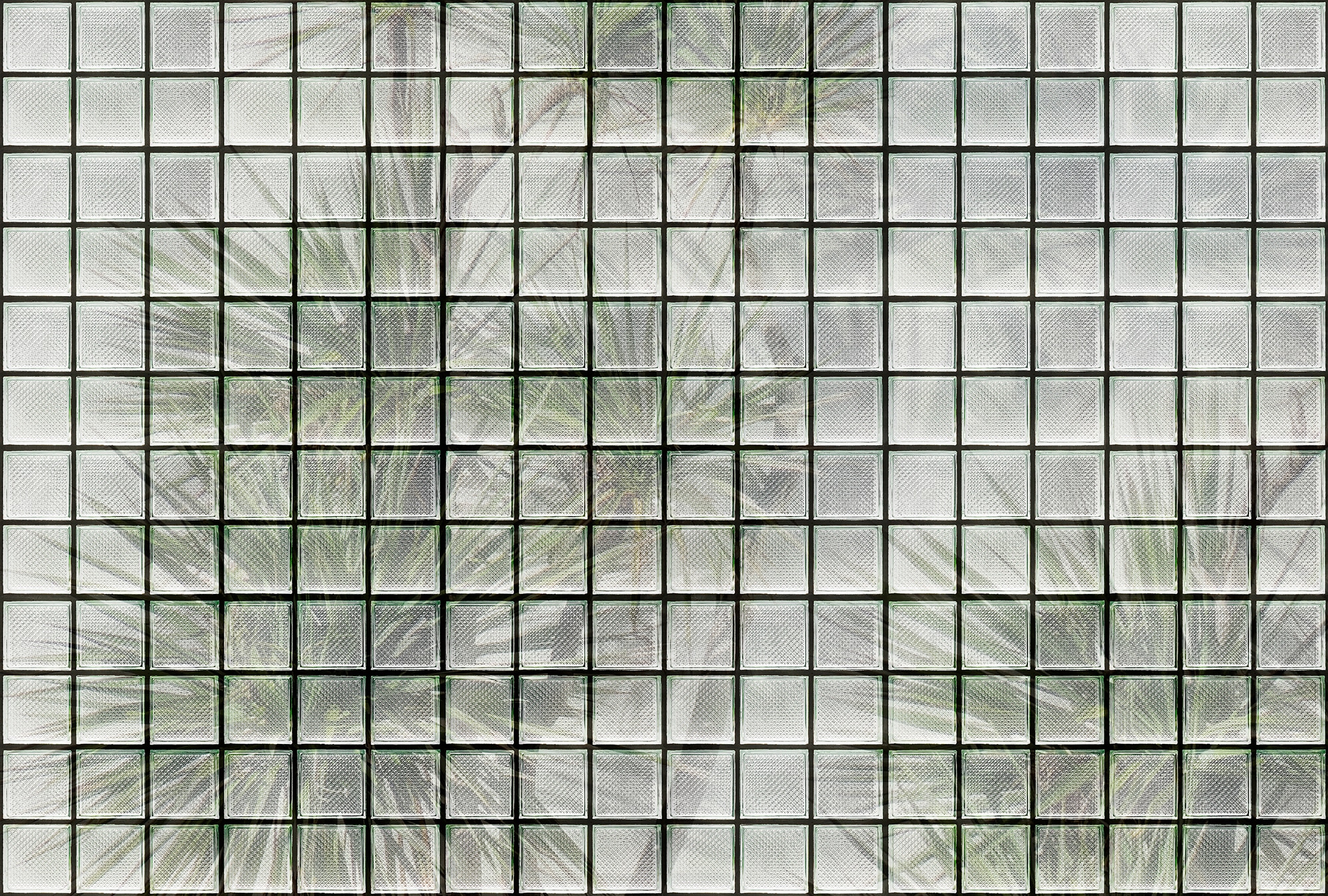 living walls Fototapete "Walls by Patel Greenhouse" glatt Vlies, Wand günstig online kaufen
