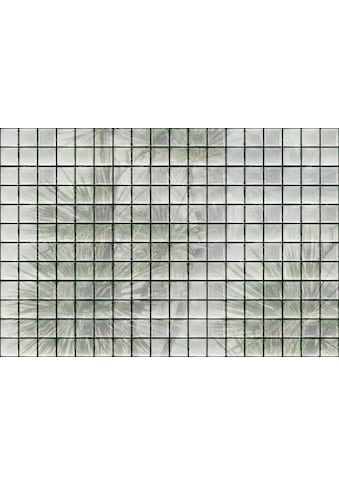 living walls Fototapetas »Walls by Patel Greenhouse...