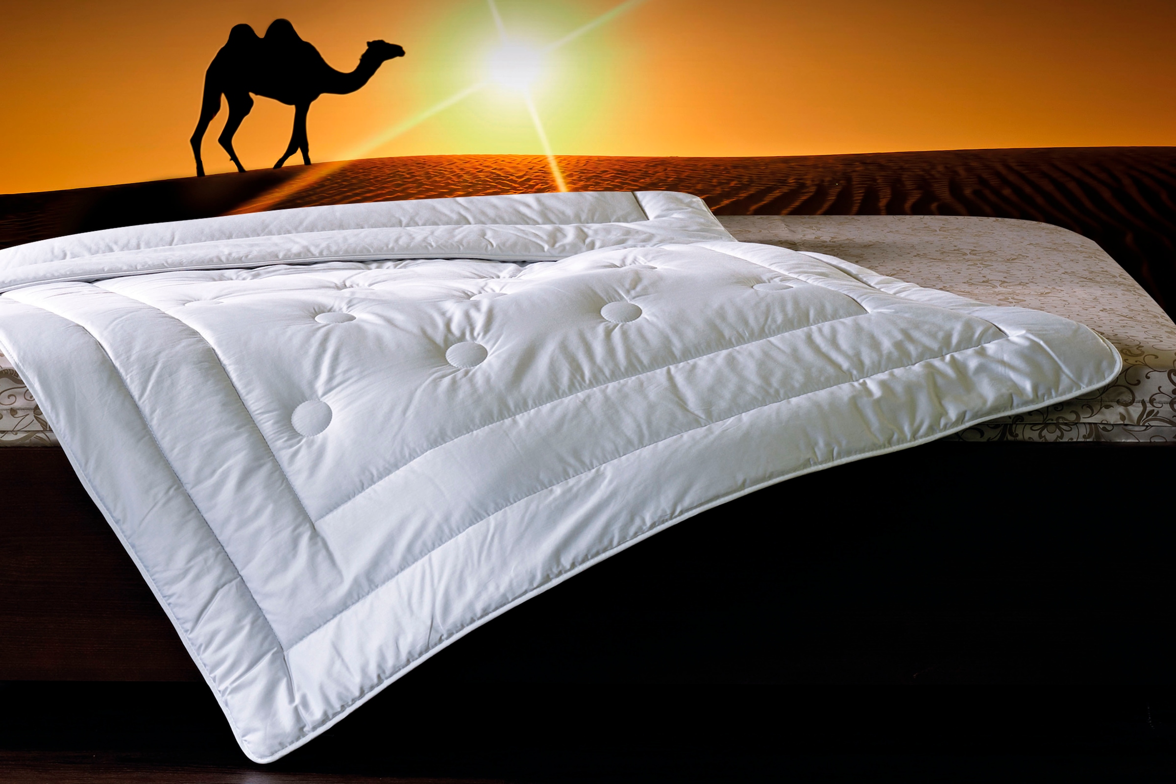 Naturhaarbettdecke BILLERBECK, B:155cm L:220cm, weiß, Bezug: 100% Baumwolle. Füllung: 100% Kamelhaar, Bettdecken, "Natur Classic 342 Brilliant,