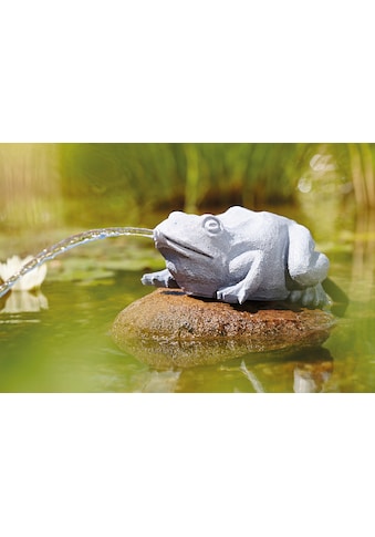 OASE Wasserspeier »Frosch«