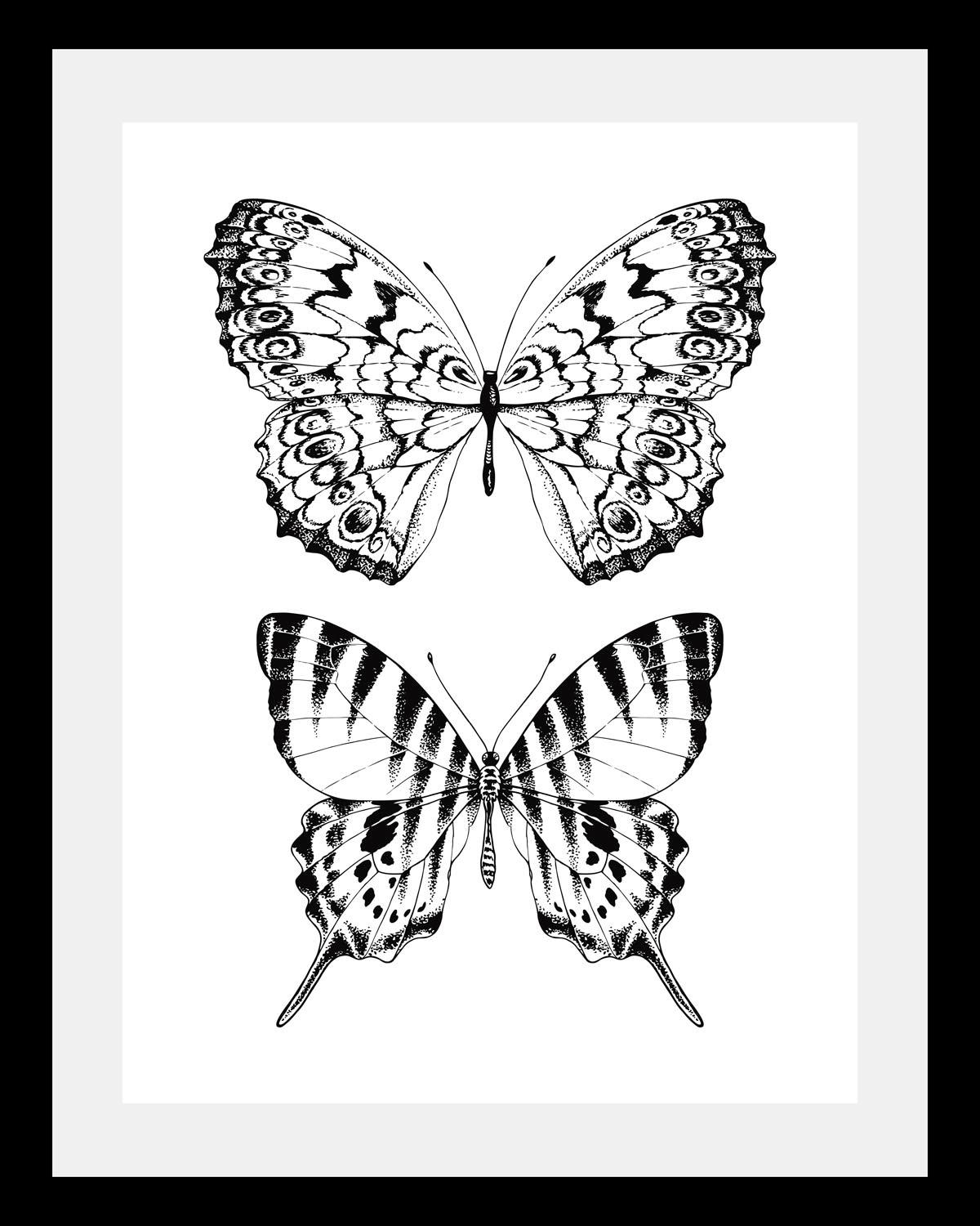 queence Bild "Schmetterlinge" Insekten Kunst Schmetterlinge Schwarz-Weiß Tiere HD Premium Poster-Druck inkl. Holzrahmen