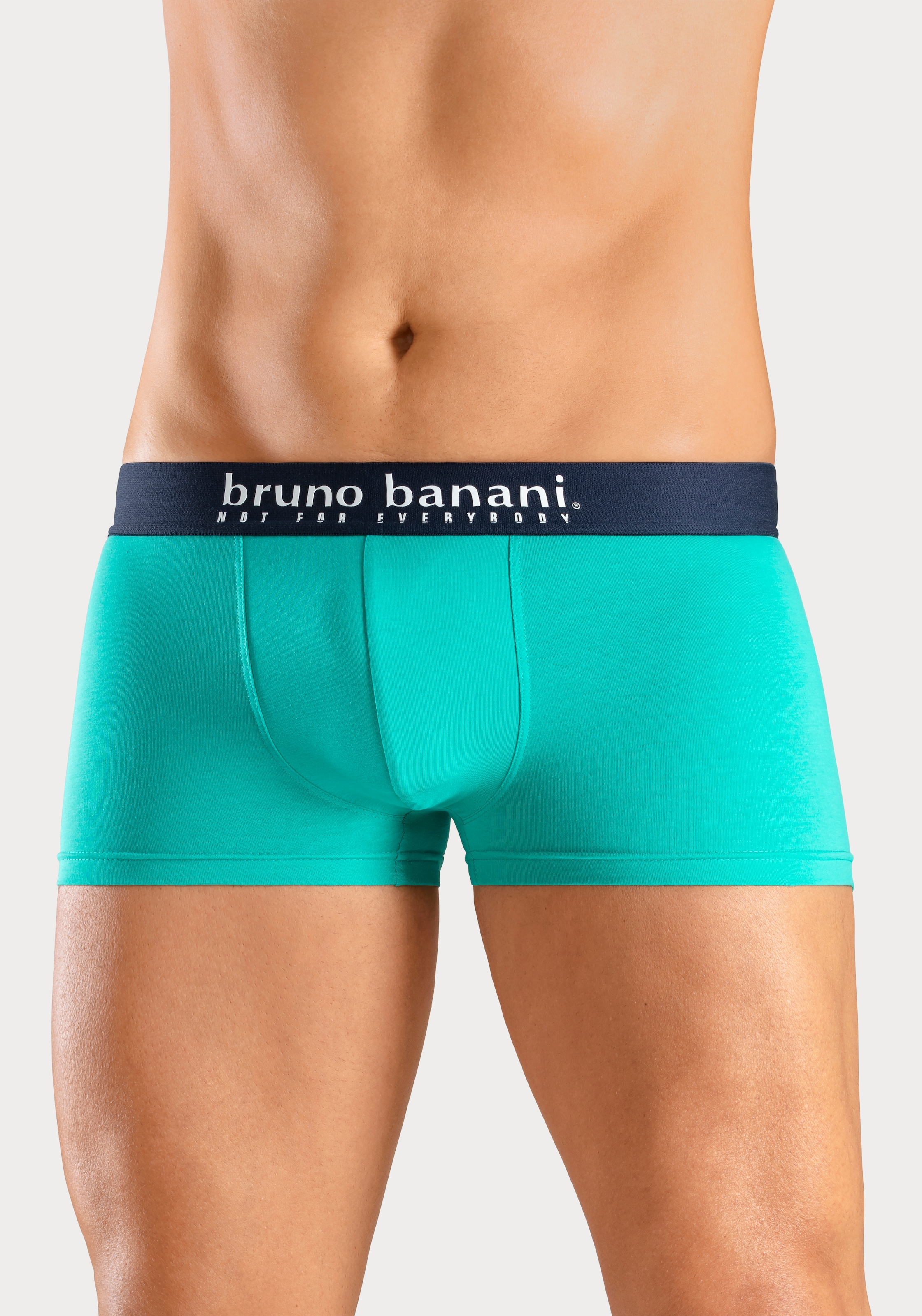 Bruno Banani Boxer »Boxershorts für Herren«, (Packung, 4 St., 4er-Pack), mit Palmendruck und unifarben aus Baumwollmischung