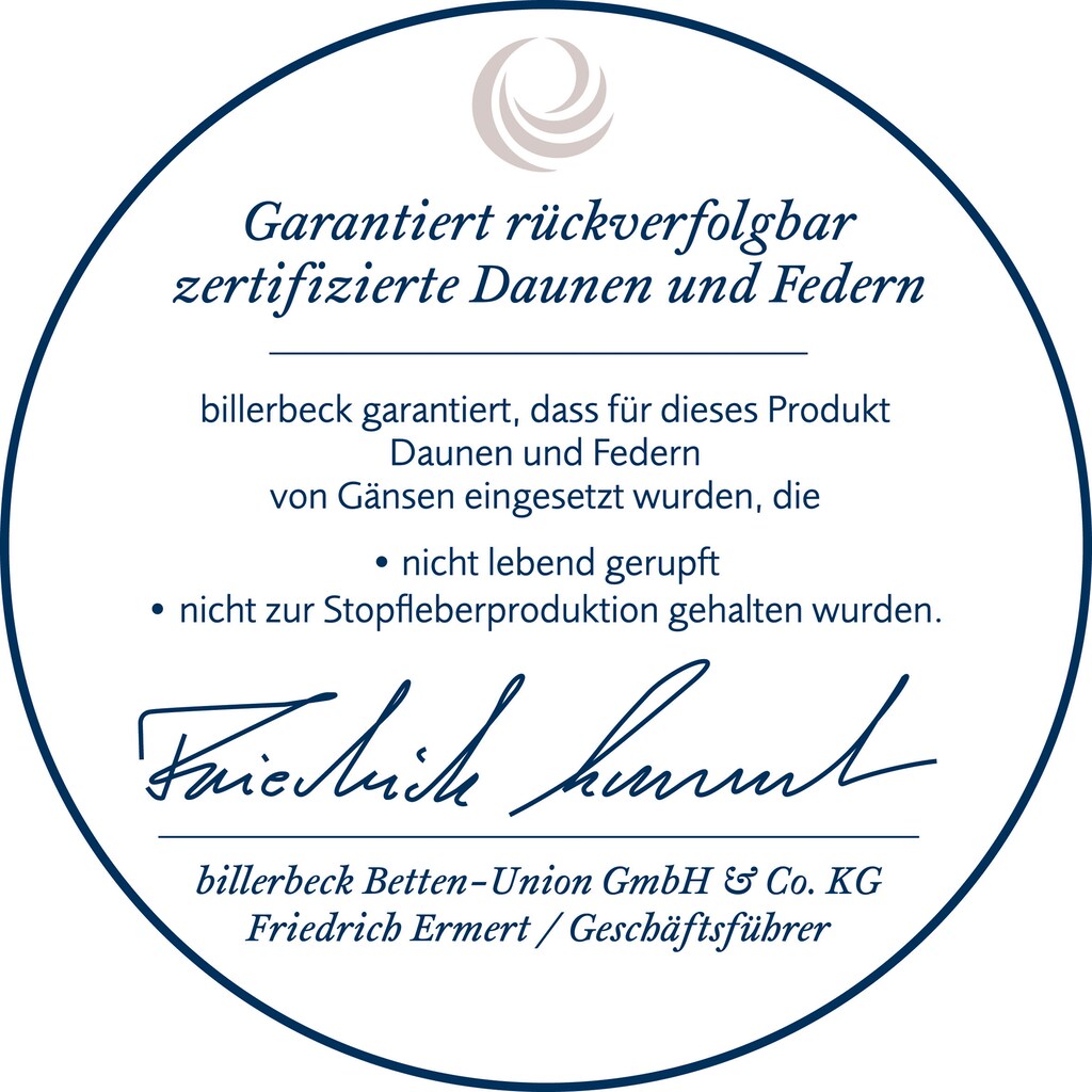 billerbeck Gänsefederkopfkissen »Ginnie 15, Kissen ist Allergiker freundlich (Hausstauballergiker)«, Füllung: 85% Gänsefeder, 15% Gänsedaunen, Bezug: 100% Baumwolle, (1 St.)