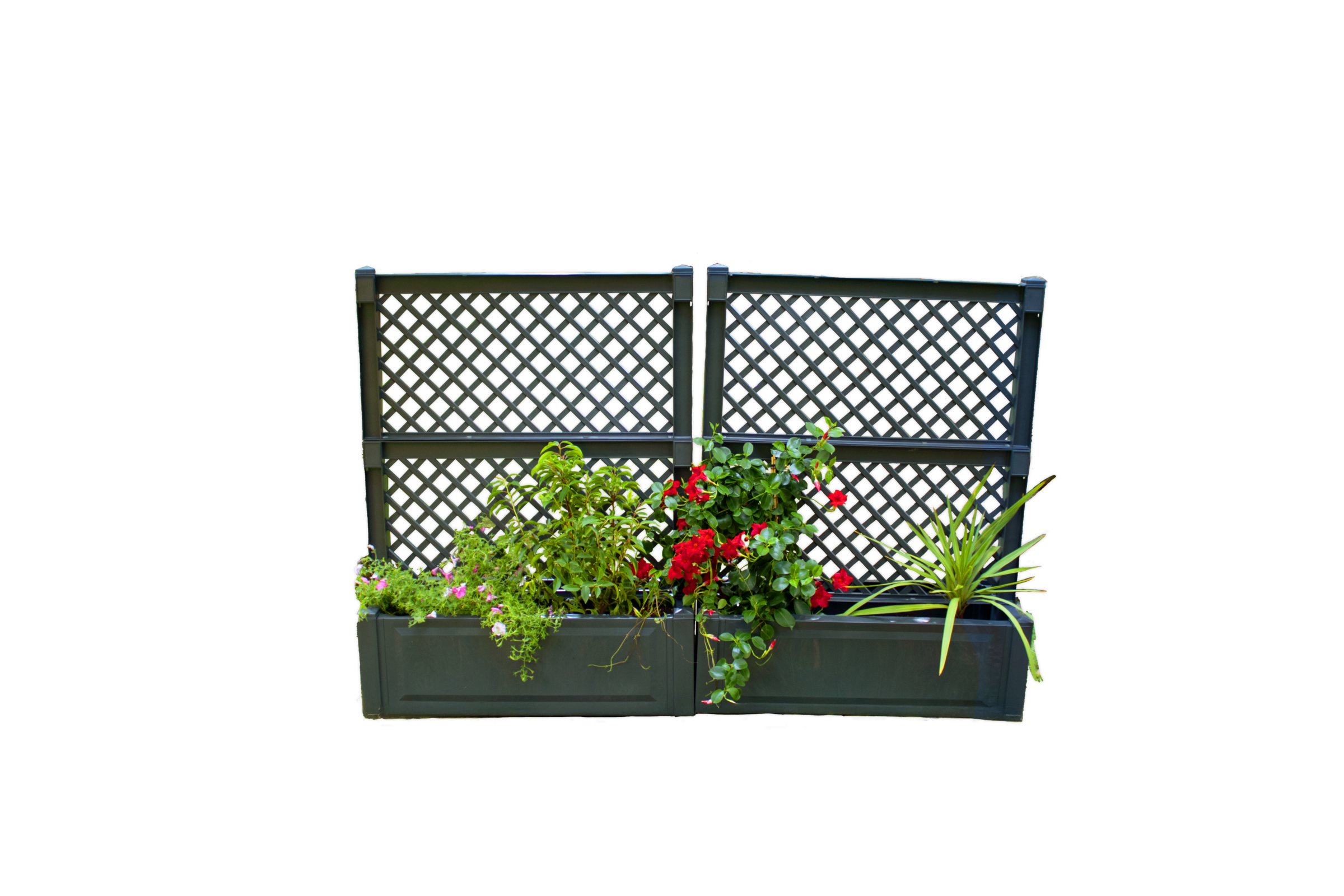 KHW Spalier 2er-Set Pflanzkasten groß 100 cm mit Zentralspalier günstig online kaufen