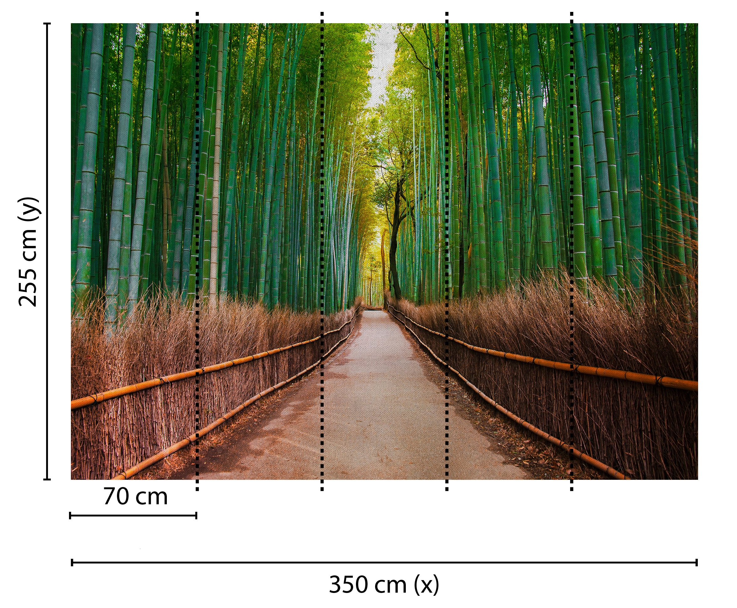 living walls Fototapete »Designwalls Bambus Walk« glatt Vlies, Wand, Schräge, Decke