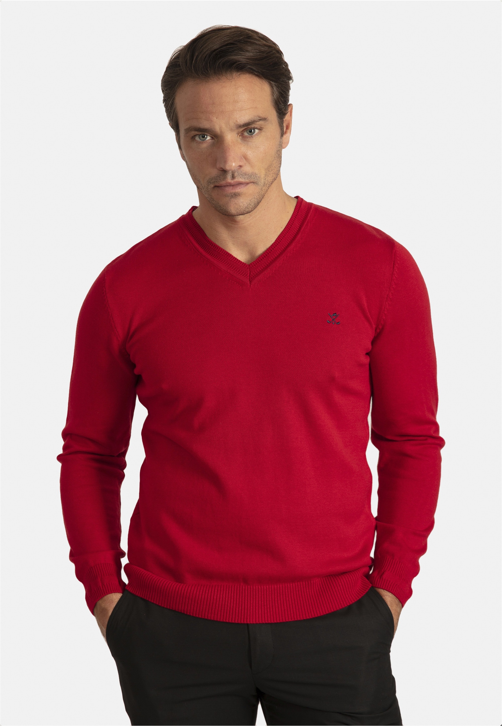 SIR RAYMOND TAILOR Strickpullover "Los Angeles", (1 tlg.), mit klassischem günstig online kaufen