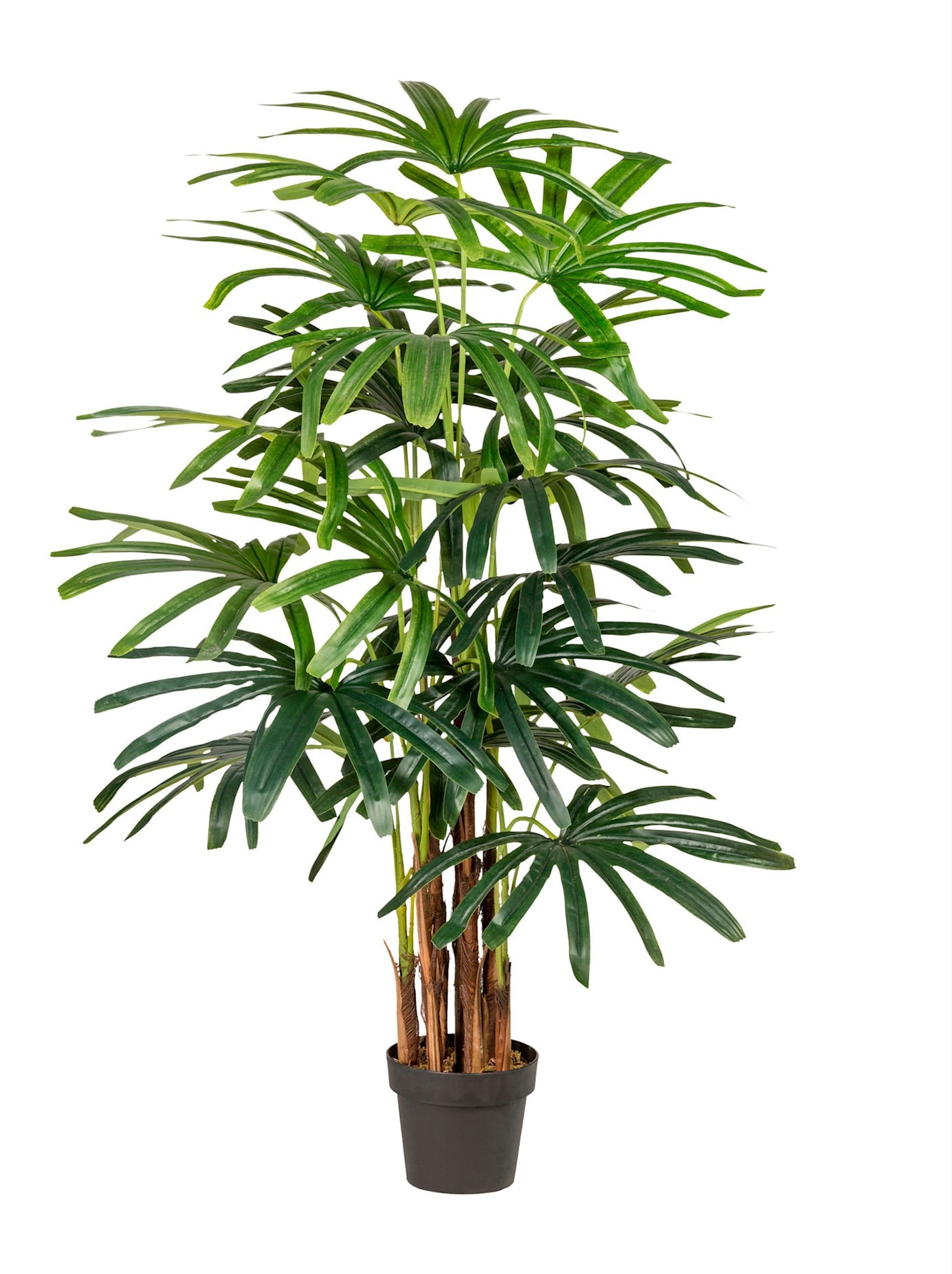 Gasper Kunstpalme, (1 St.) kaufen