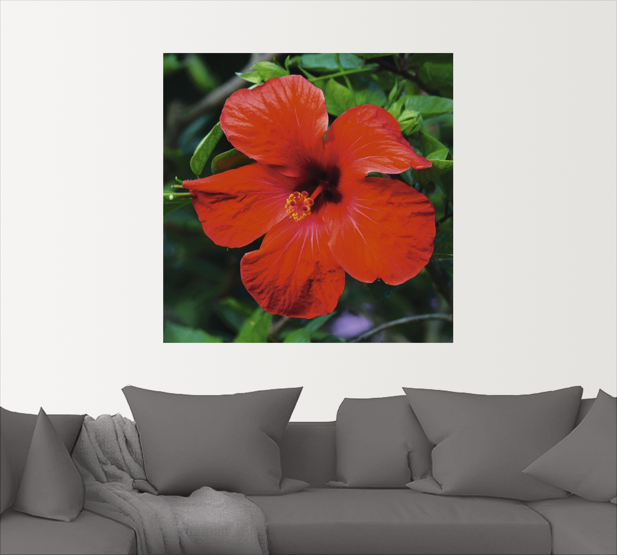 Artland Wandbild »Hawaiiblume«, Blumen, (1 St.), als Alubild, Leinwandbild, Wandaufkleber oder Poster in versch. Größen