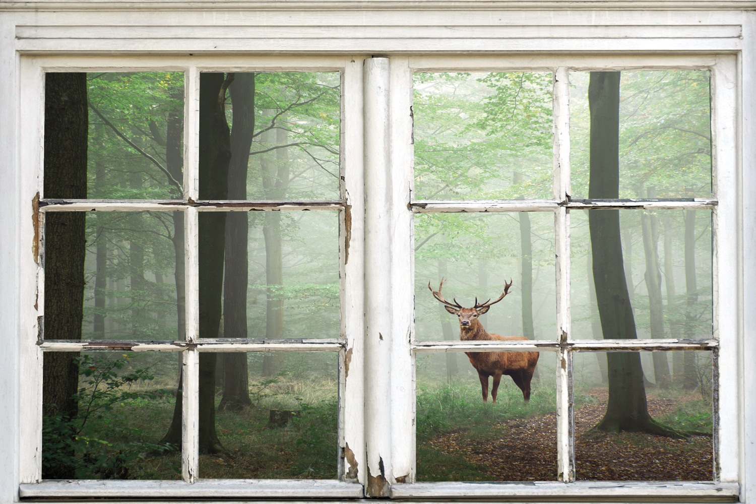 queence Leinwandbild "Wald" Bäume  Fensterblick  Hirsch  Hirschbilder  Land günstig online kaufen