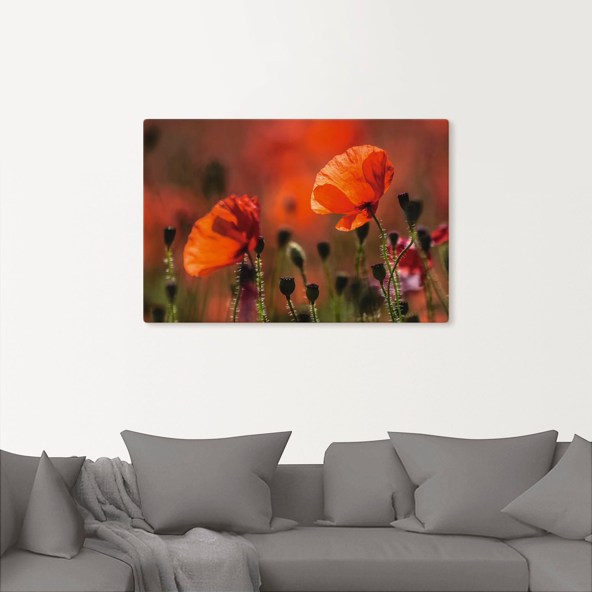 Artland Wandbild »Rote Mohnblumen in der Provence«, Blumenbilder, (1 St.), als Leinwandbild, Poster in verschied. Größen