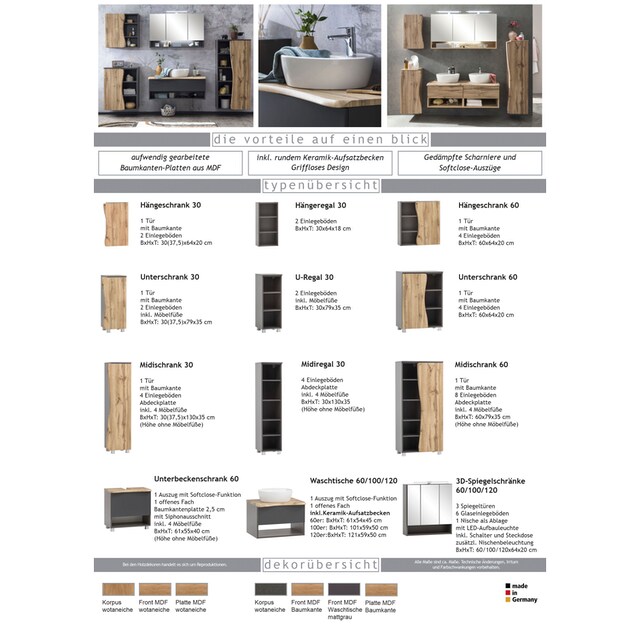 HELD MÖBEL Spiegelschrank »Stubach«, Breite 60 cm bestellen | BAUR