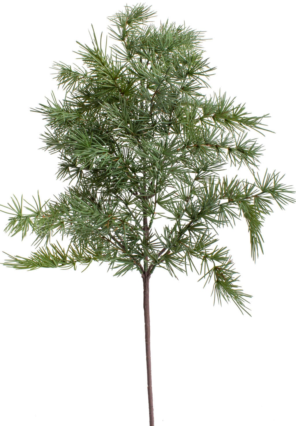 Botanic-Haus Kunstzweig "Zedernast" günstig online kaufen