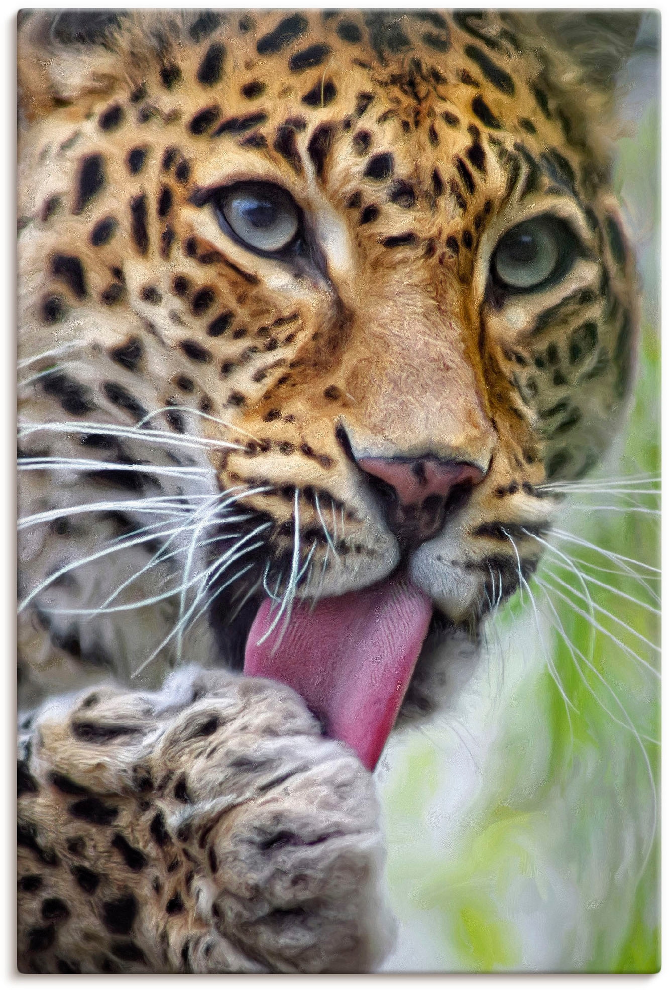 Artland Wandbild "Leopard", Wildtiere, (1 St.), als Leinwandbild, Poster, Wandaufkleber in verschied. Größen