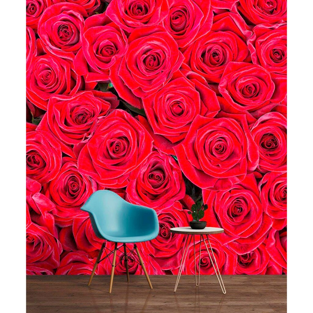 living walls Fototapete »rote Rosen«