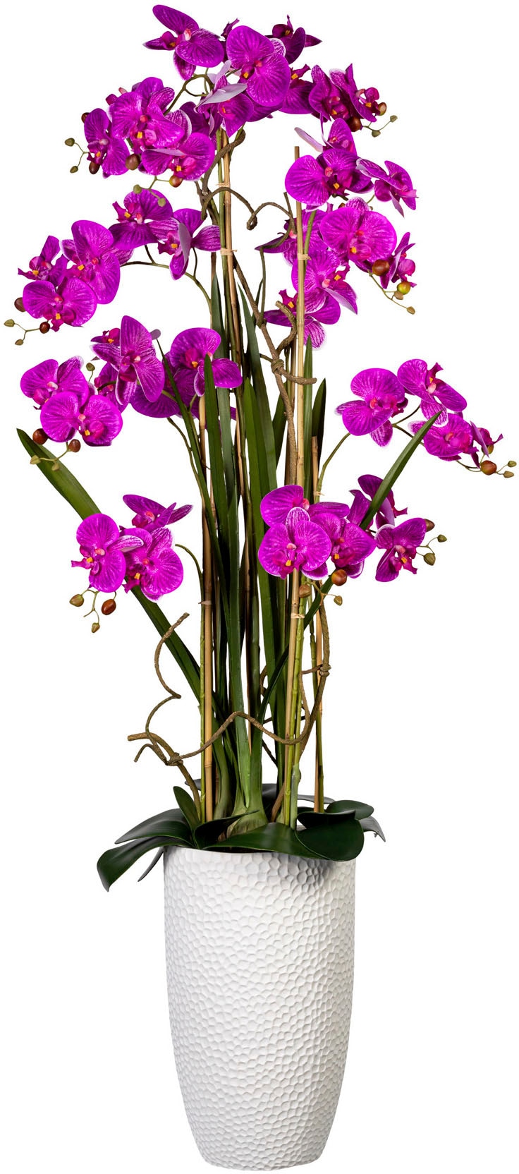 bestellen im Creativ »Deko-Orchidee Keramiktopf« XXL | Kunstorchidee BAUR green Phalaenopsis