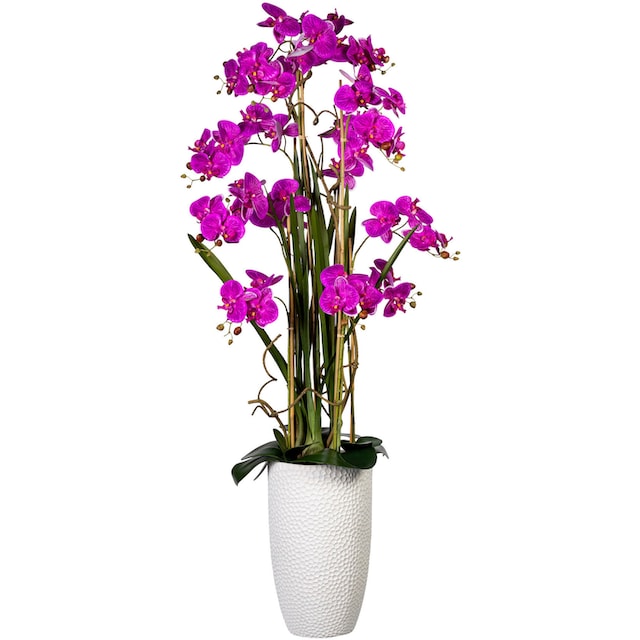 Creativ green Kunstorchidee »Deko-Orchidee Phalaenopsis XXL im Keramiktopf«  bestellen | BAUR