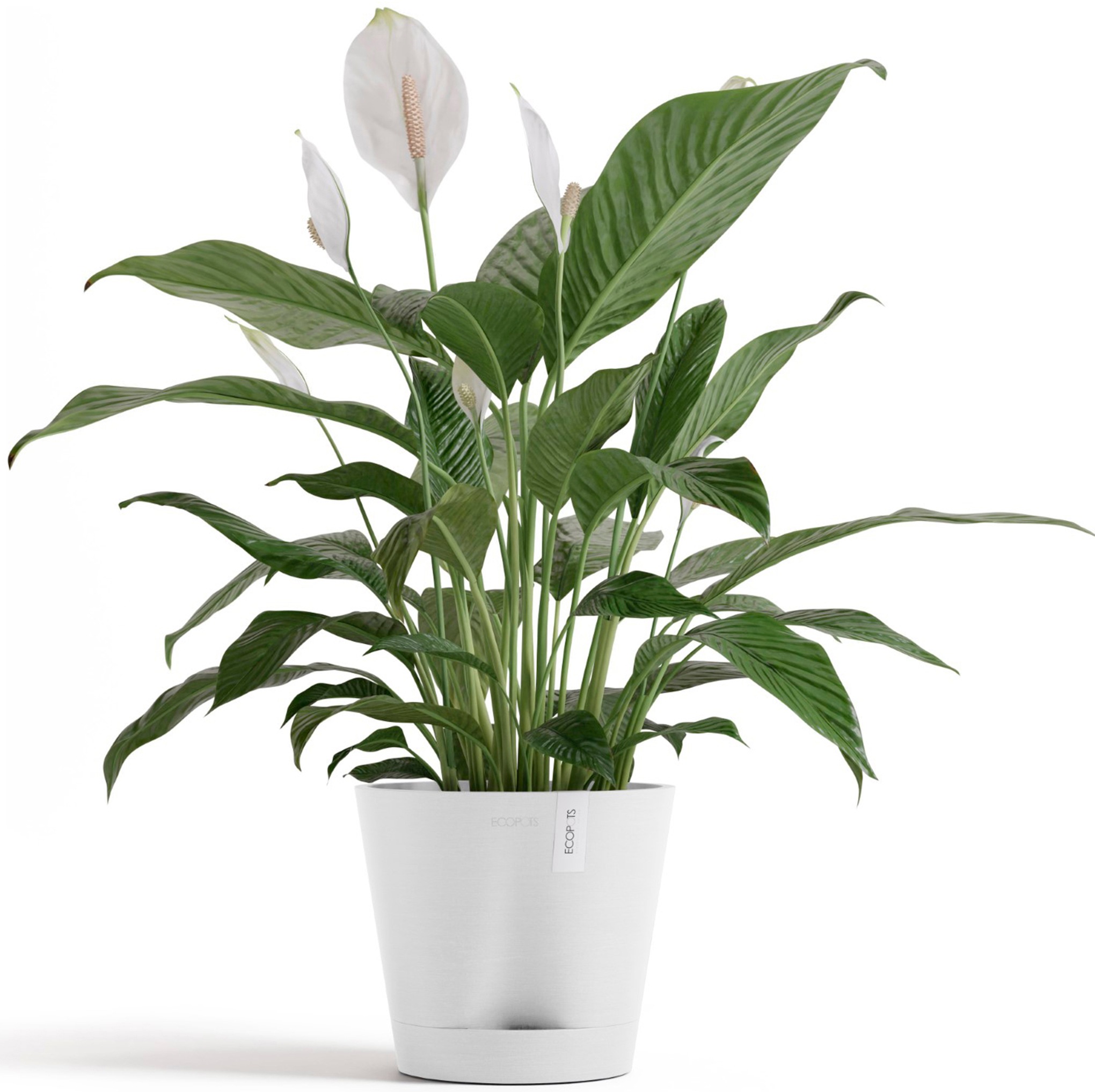 ECOPOTS Blumentopf »Venice 2 20 Weiß«, für den Innenbereich