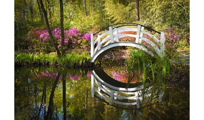 Fototapete »GARTEN-NATUR LANDSCHAFT WALD BÄUME BLUMEN BRÜCKE SEE«