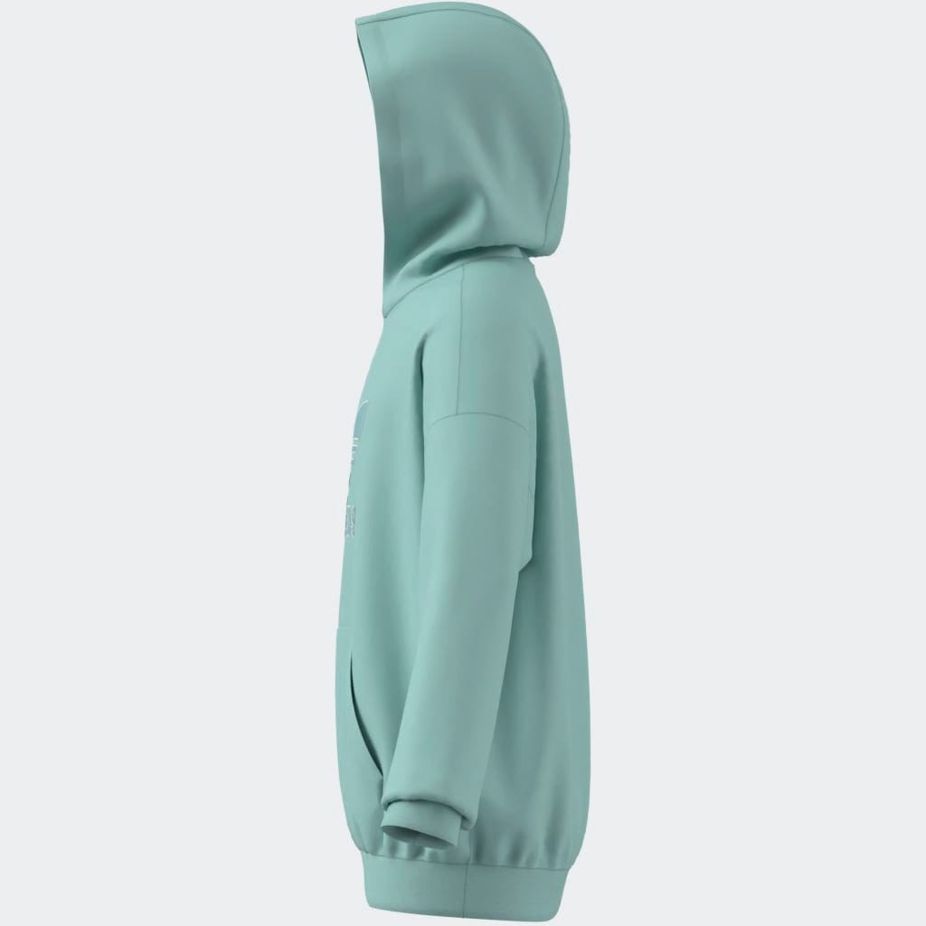 adidas Originals Kapuzensweatshirt »HOODIE«