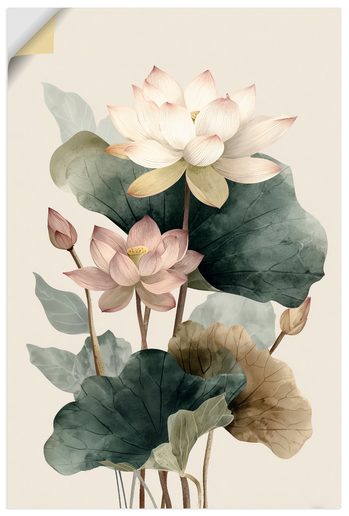 Artland Wandbild "Lotus" Blumenbilder 1 Stk. tlg. als Alubild, Leinwandbild, Poster, Wandaufkleber in verschied. Größen