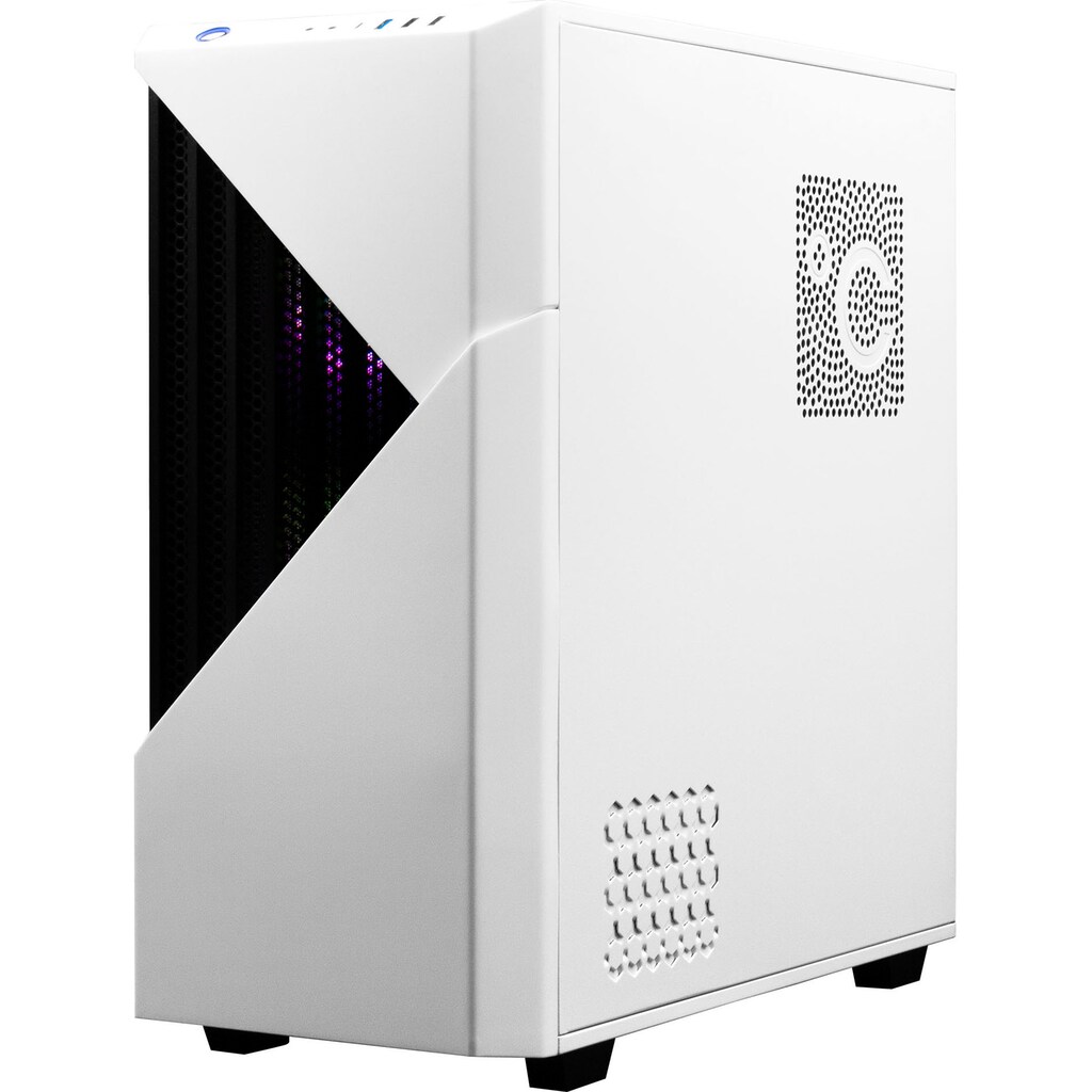 Hyrican Gaming-PC »Horizon 6866«