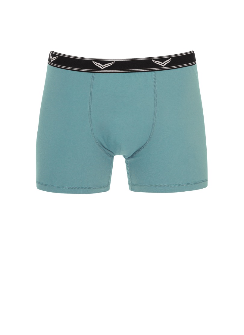 Trigema Boxer "TRIGEMA Bequeme Pants mit Webgummibund", (1 St.) günstig online kaufen