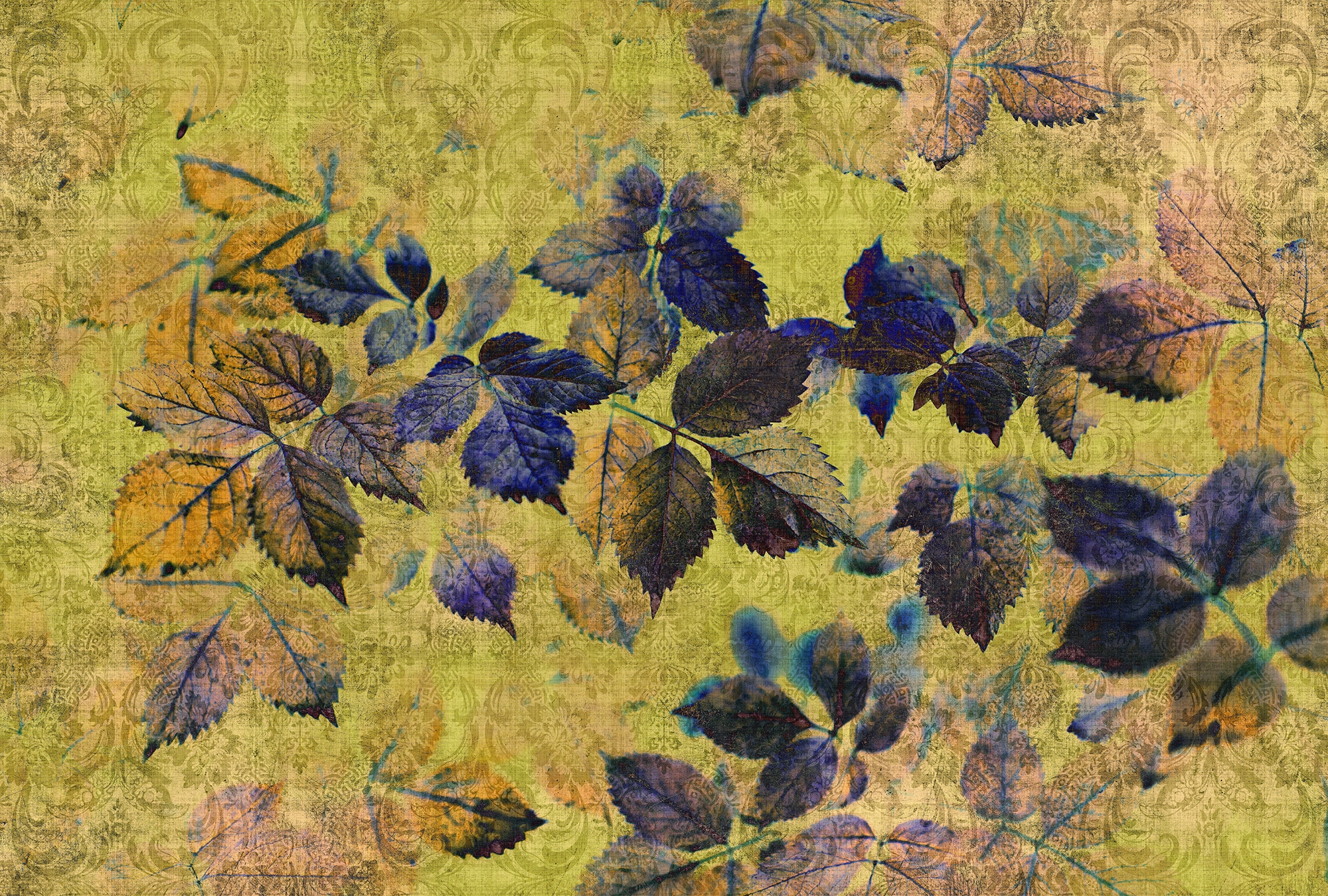 living walls Fototapete "Walls by Patel Indian Summer 1" glatt Vlies, Wand, günstig online kaufen