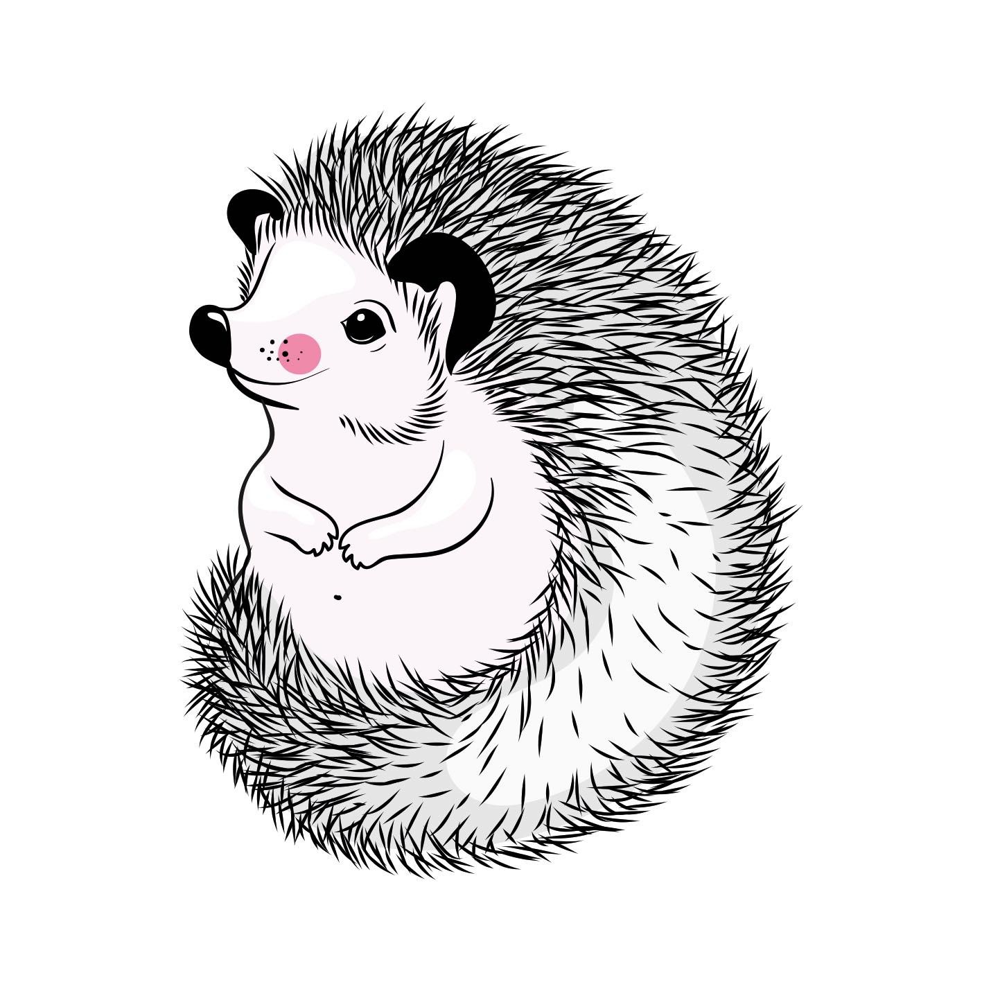 queence Dekokissen ""Igel"" Kissenhülle ohne Füllung, 1 Stück günstig online kaufen