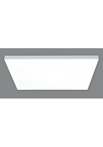 näve Näve LED Panel »Carente« 1 flammig-fla...