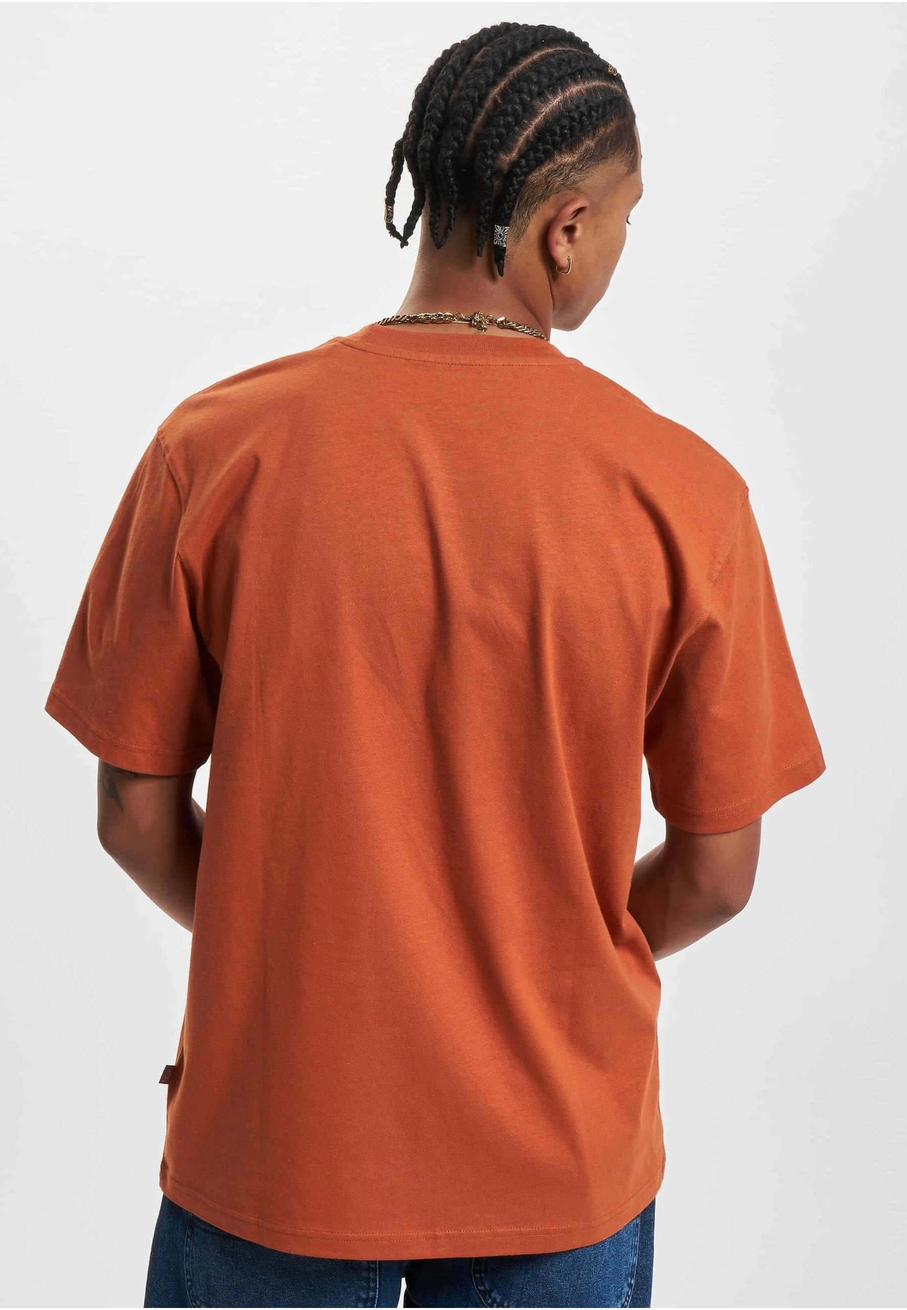 Dickies T-Shirt »Dickies Damen Dickies Summerdale T-Shirt«, (1 tlg.)