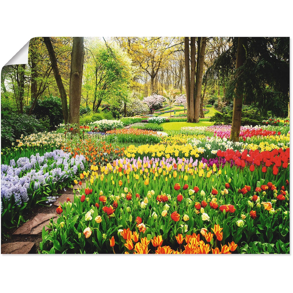 Artland Wandbild »Tulpen Garten Frühling«, Blumenwiese, (1 St.), als Alubild, Outdoorbild, Leinwandbild, Poster, Wandaufkleber