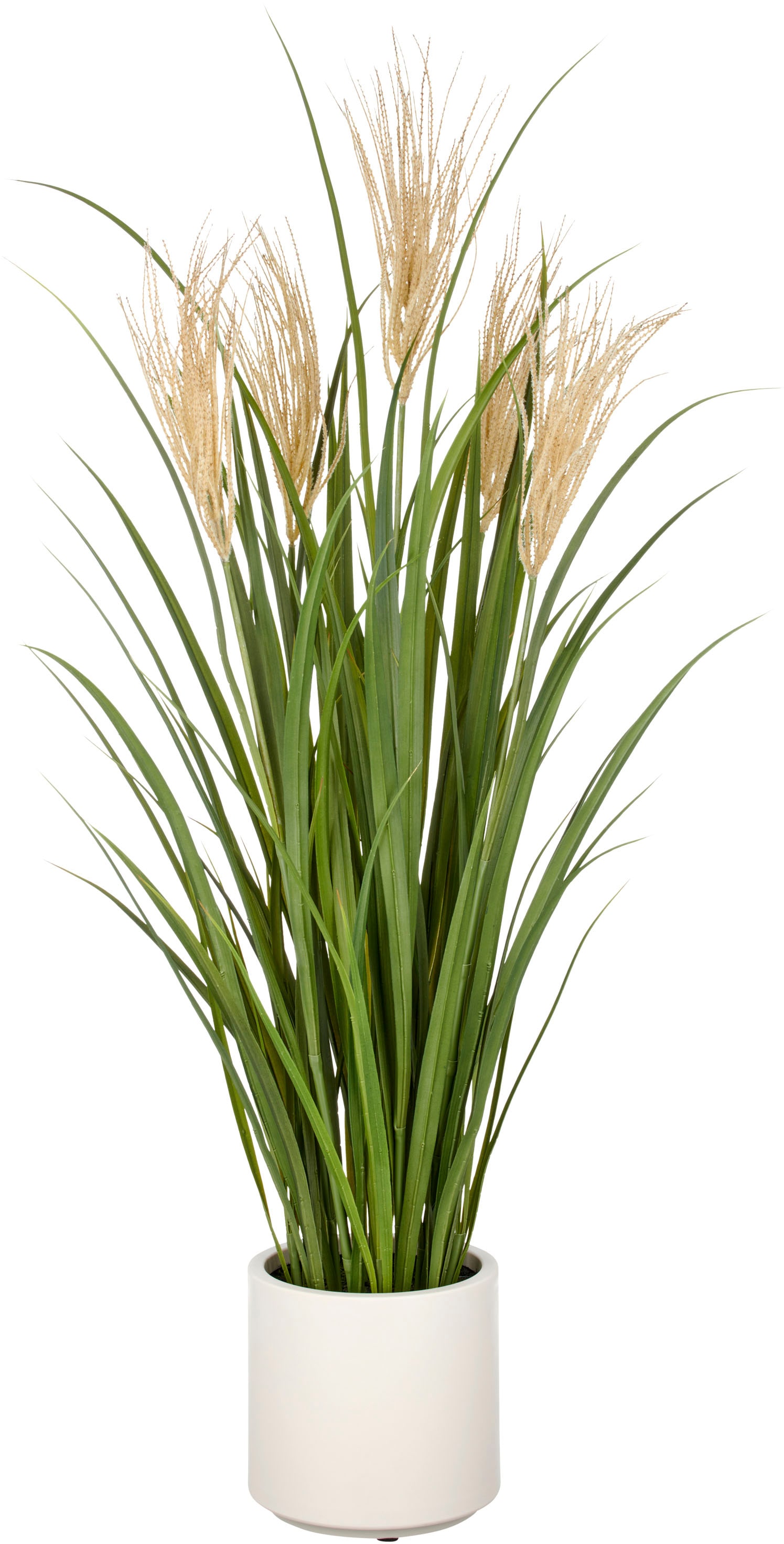 Creativ green Kunstgras "Grasbusch Schilfrohr", im eleganten Topf günstig online kaufen