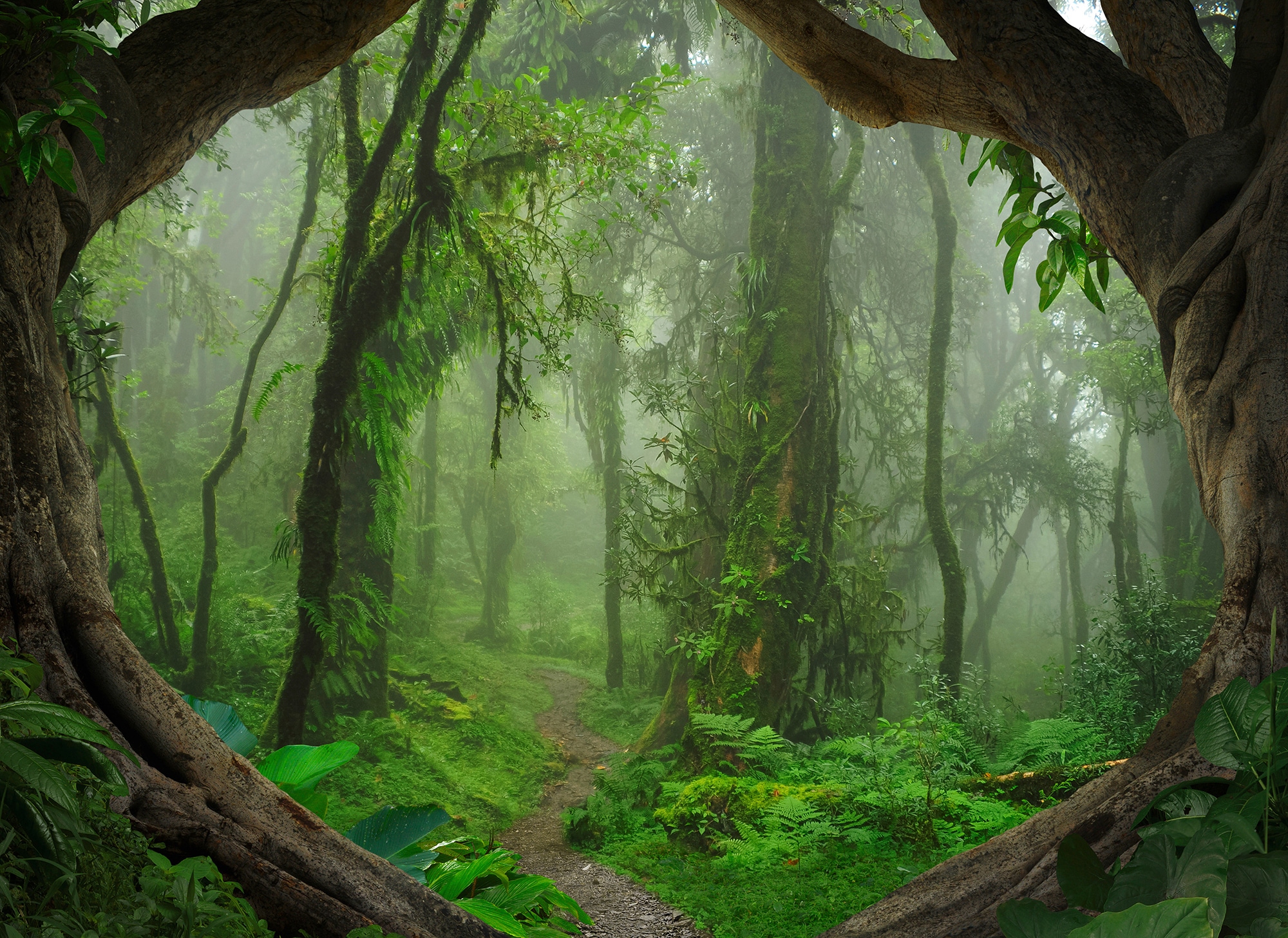 living walls Fototapete "Designwalls Tropical Forest" glatt Vlies, Wand, Schräge, Decke