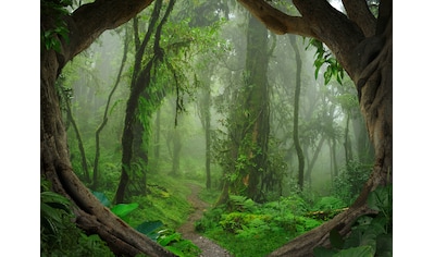 Fototapete »Designwalls Tropical Forest«