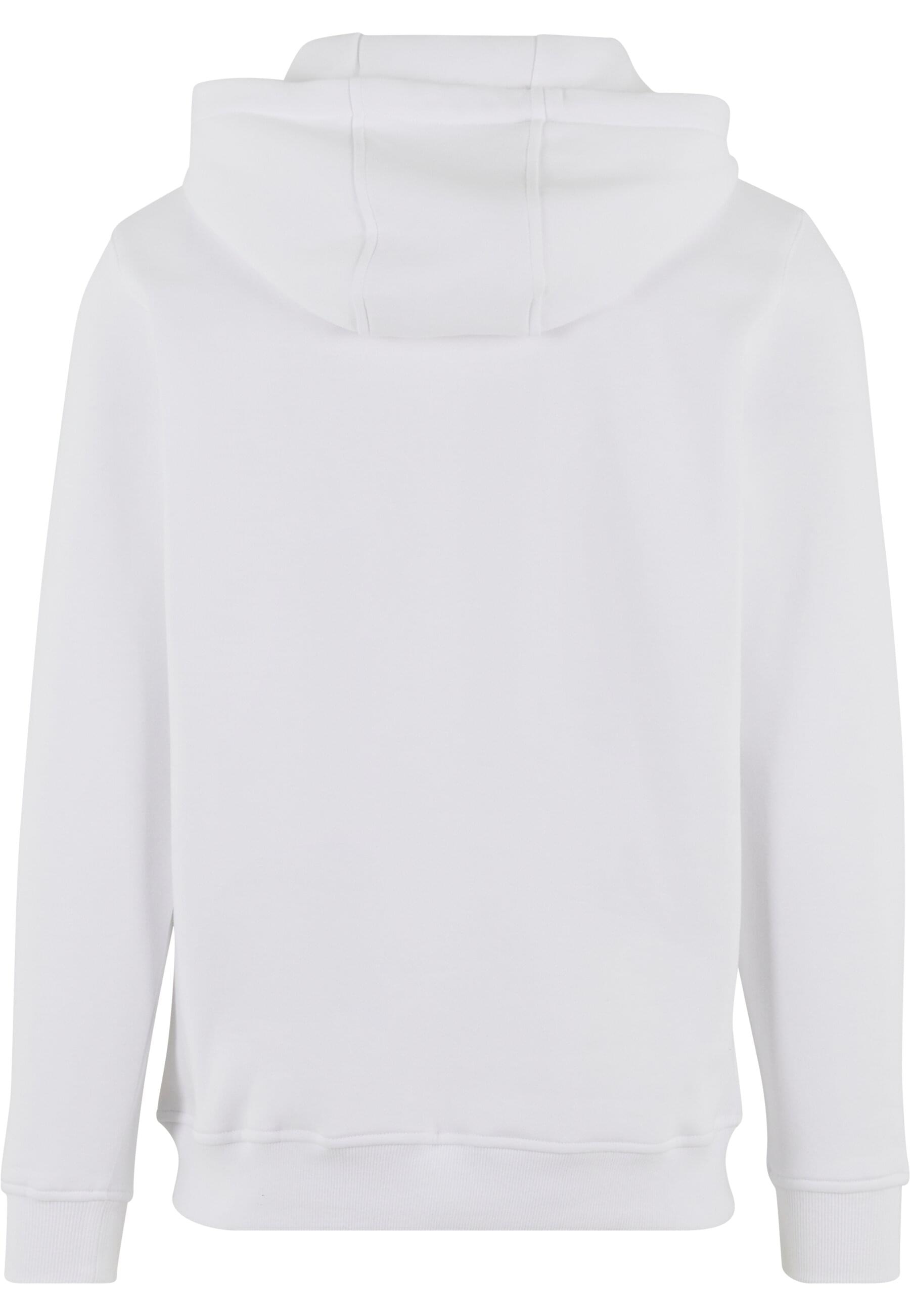 MisterTee Kapuzensweatshirt »MisterTee Detroit Tiger Head Hoody«, (1 tlg.)