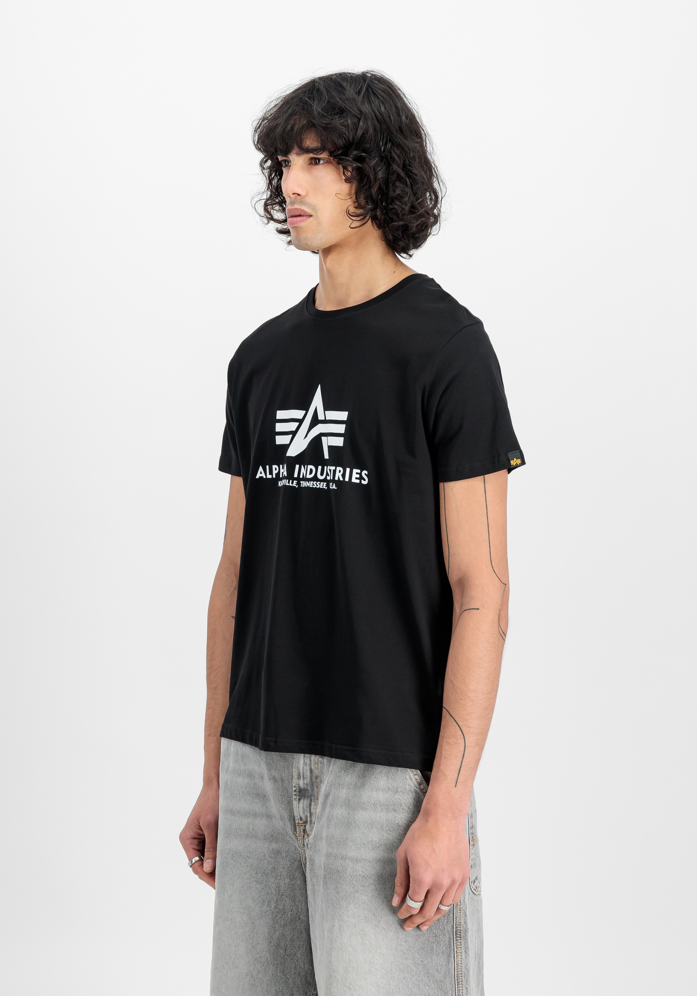 Alpha Industries Rundhalsshirt "Basic T 2 Pack" Set, 2 Stk. tlg. günstig online kaufen