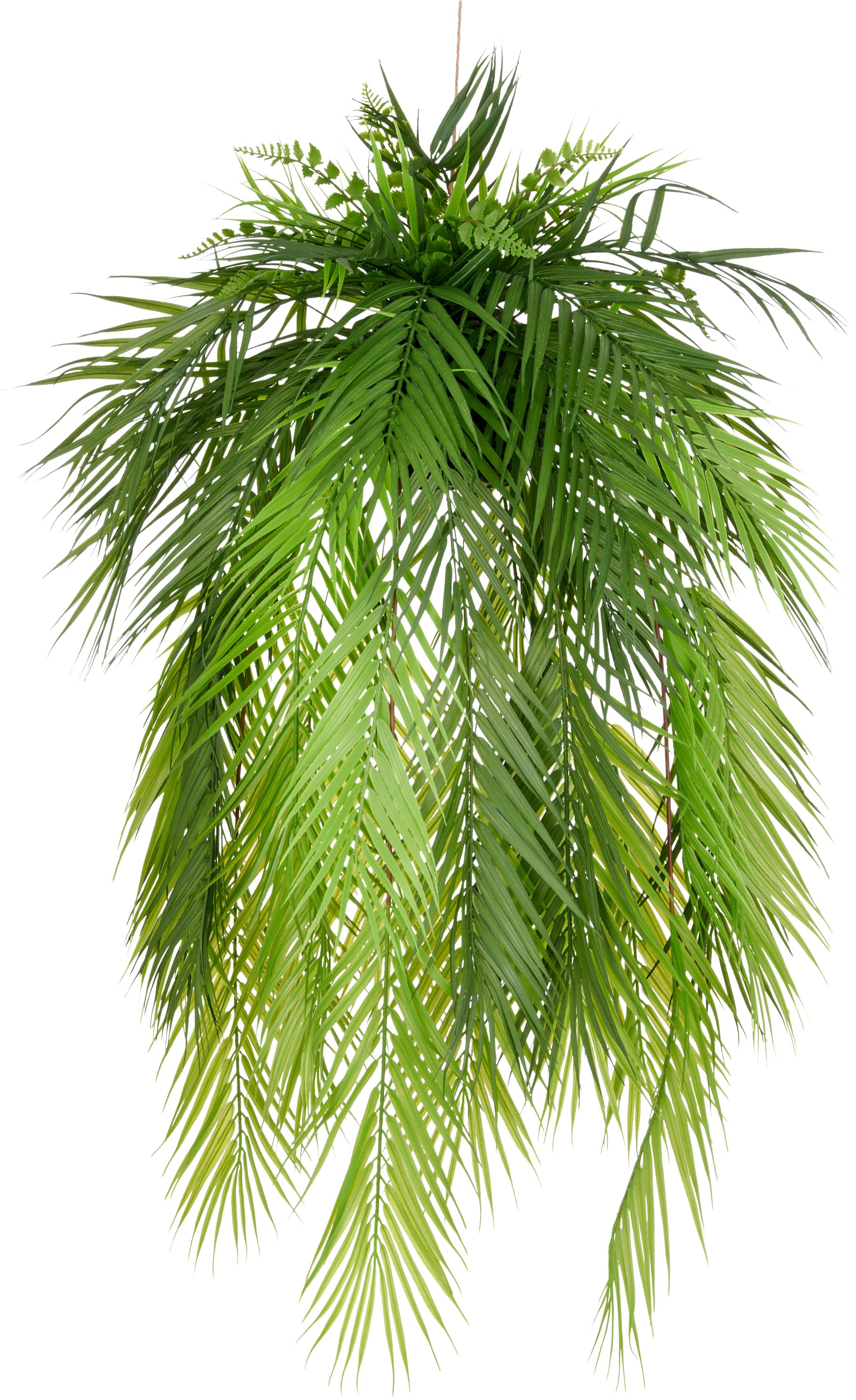 Creativ green Kunstpflanze "Palmwedel auf Mooskugel", mit üppigen Palmwedel günstig online kaufen