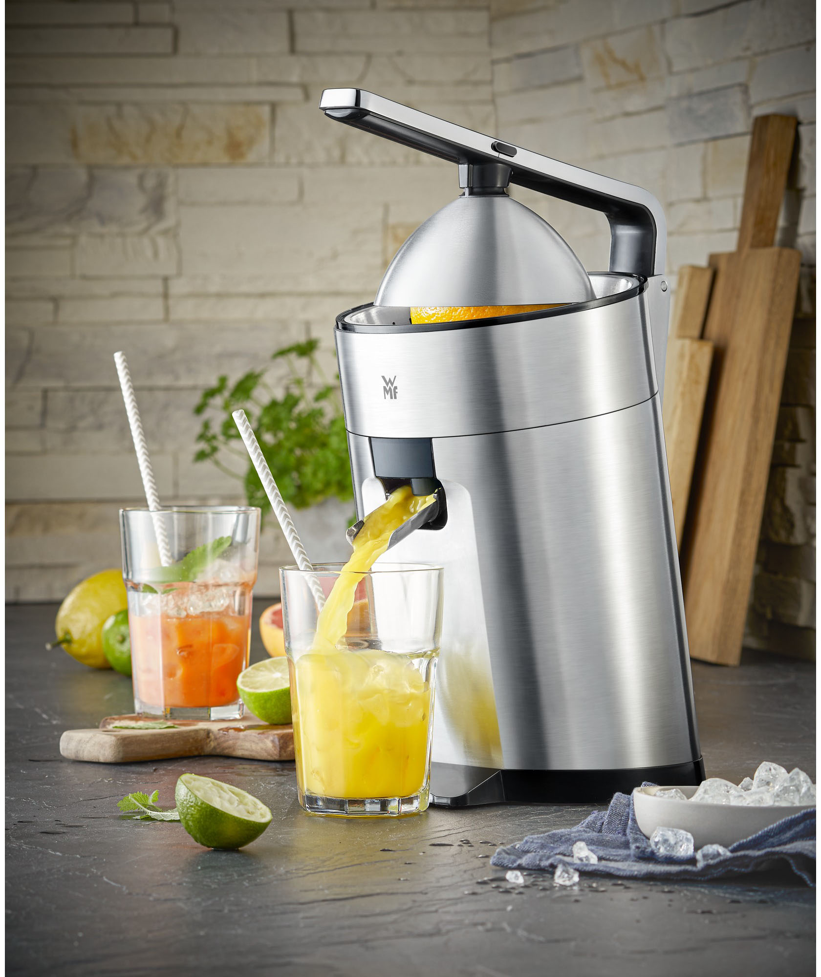 Zitruspresse »Profi Plus«, 160 W